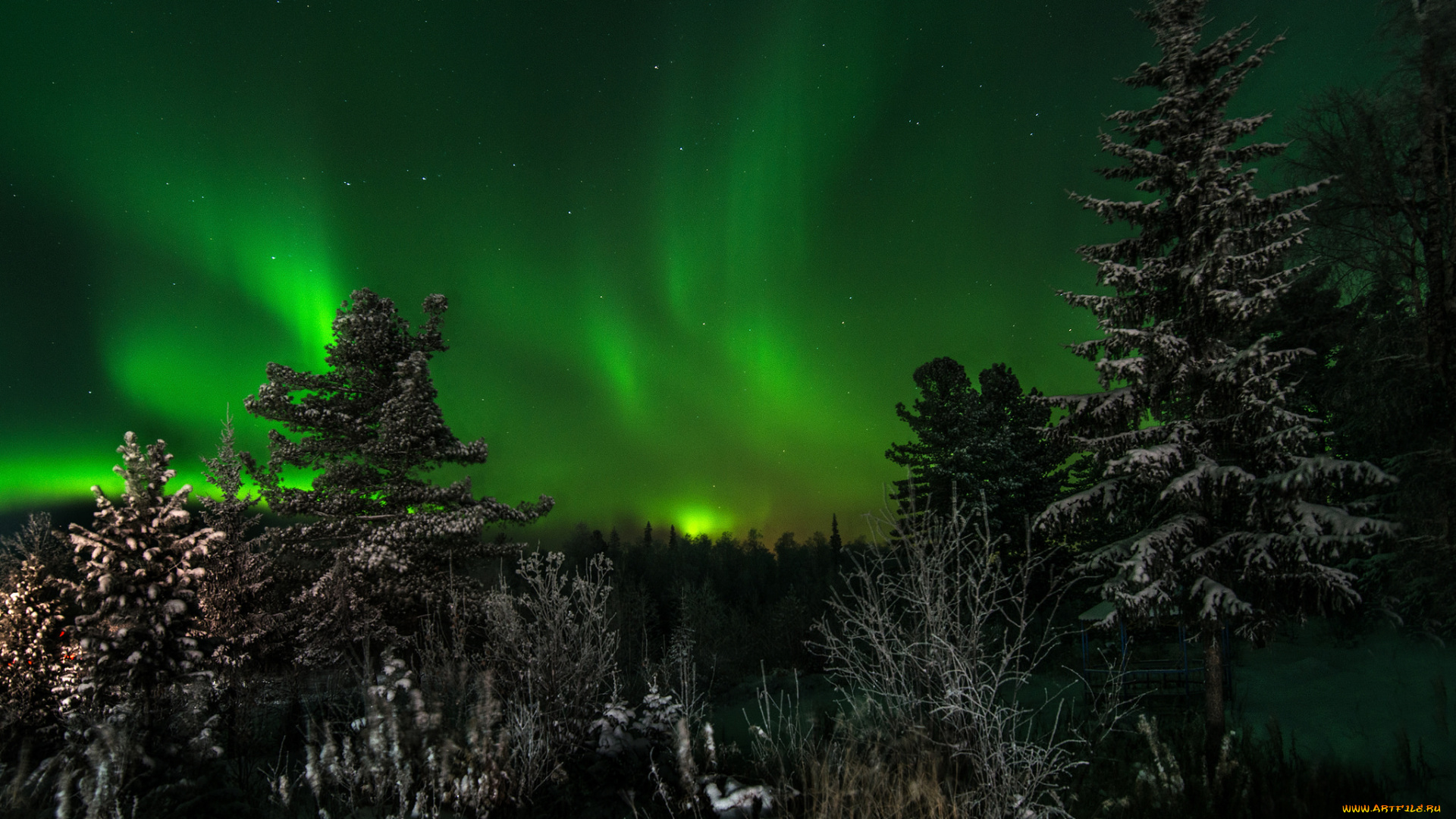 природа, северное, сияние, сполохи