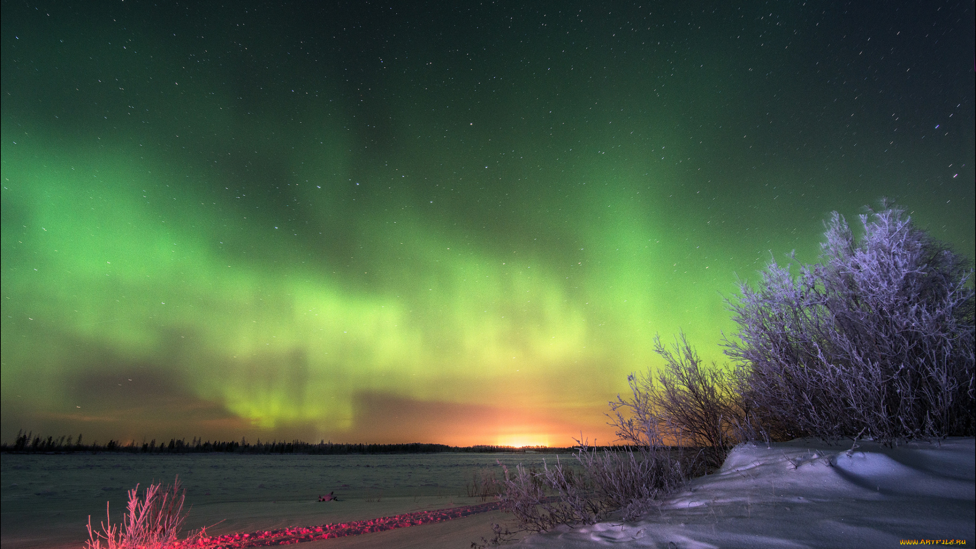 природа, северное, сияние, сполохи