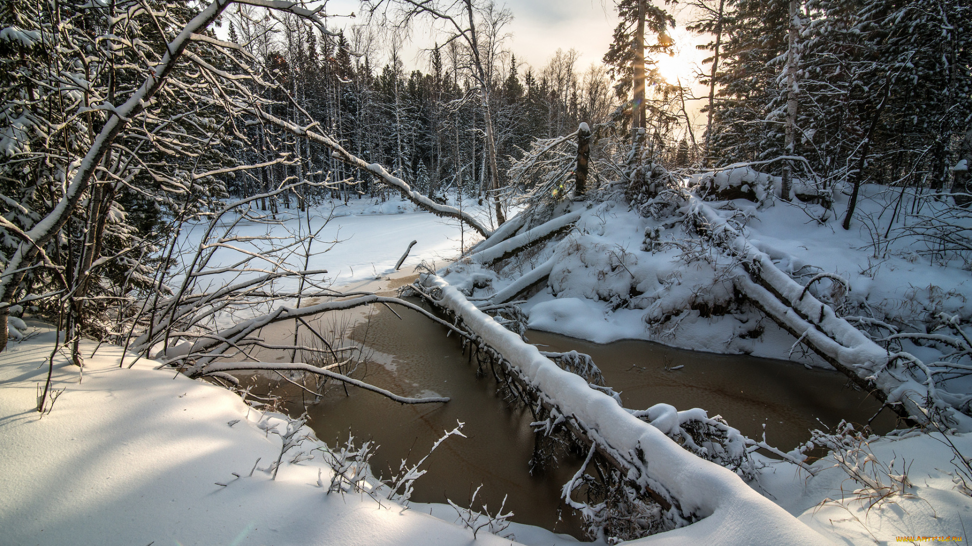 природа, зима, деревья, снег