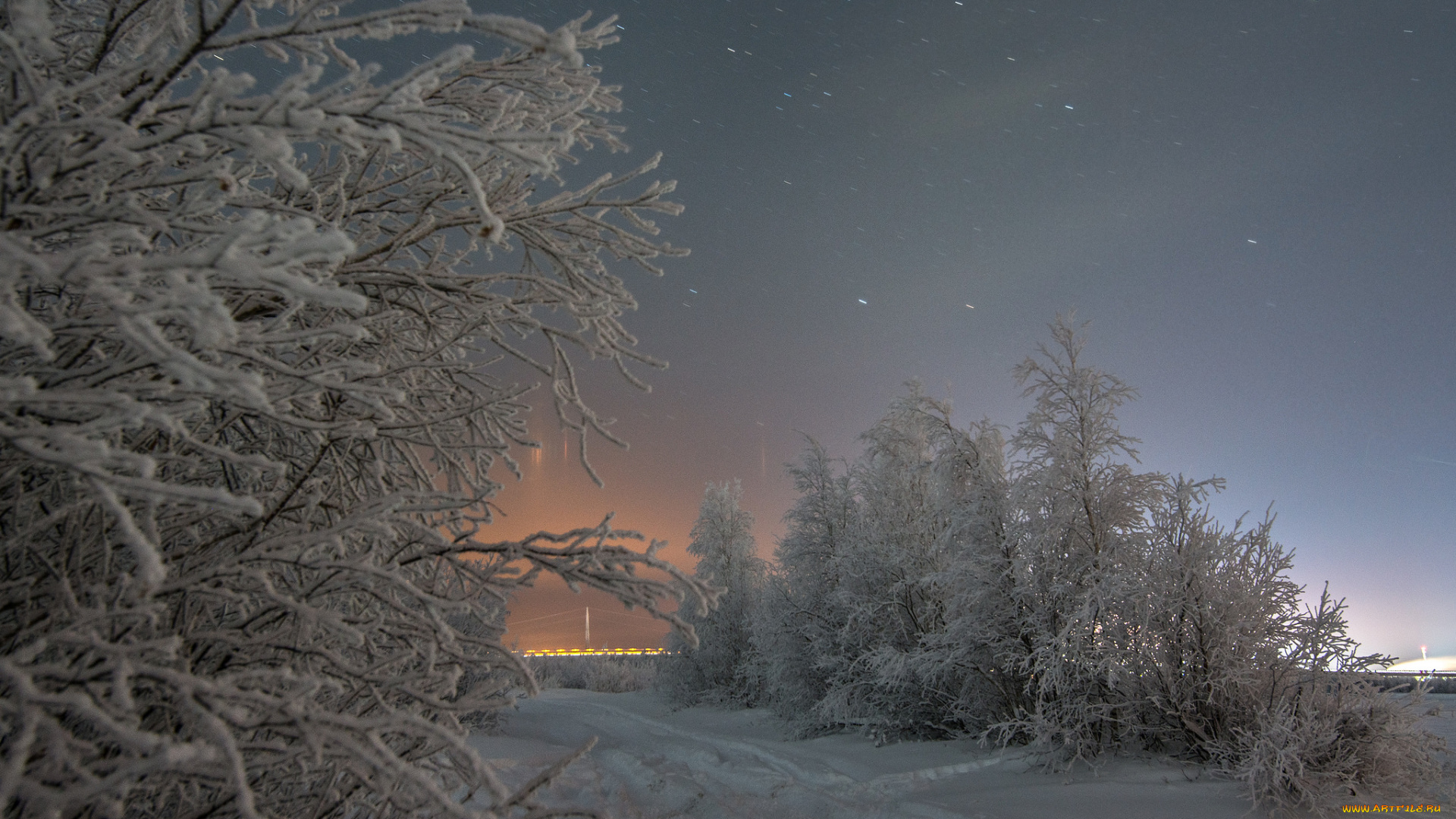 природа, зима, деревья, снег