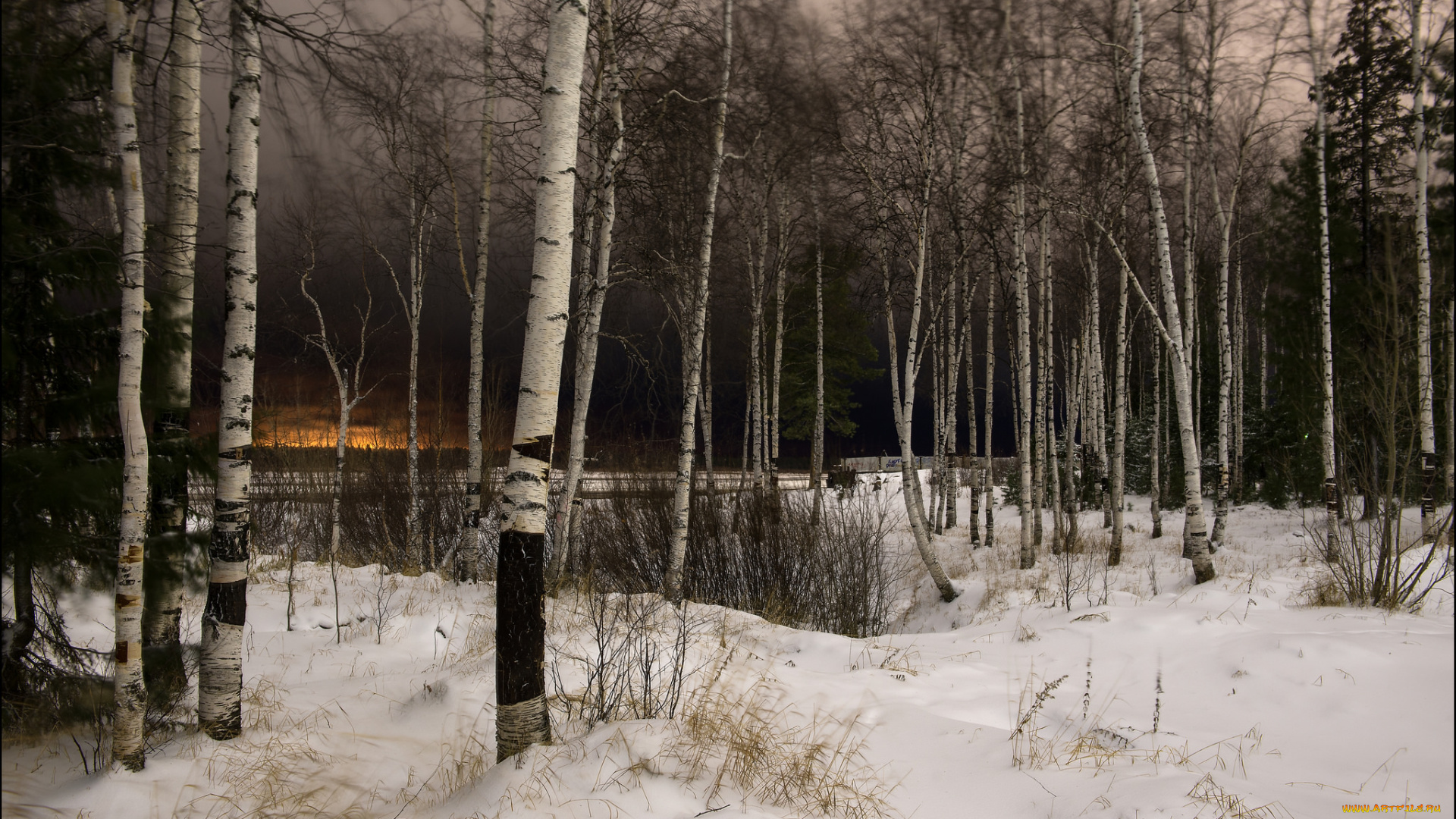 природа, зима, снег, деревья