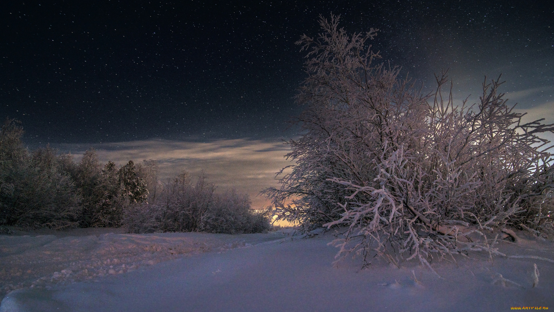 природа, зима, снег, деревья