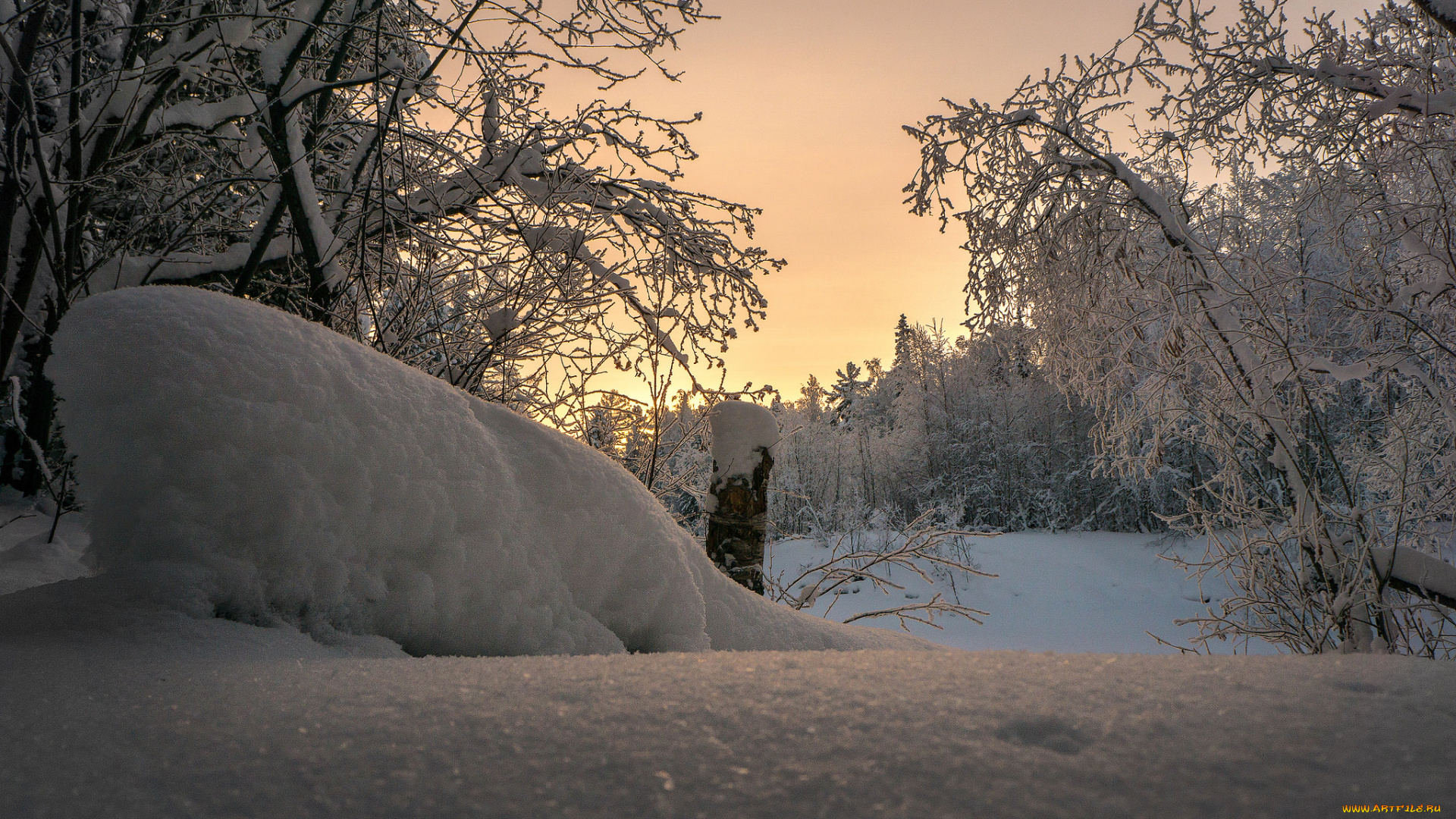 природа, зима, снег, деревья