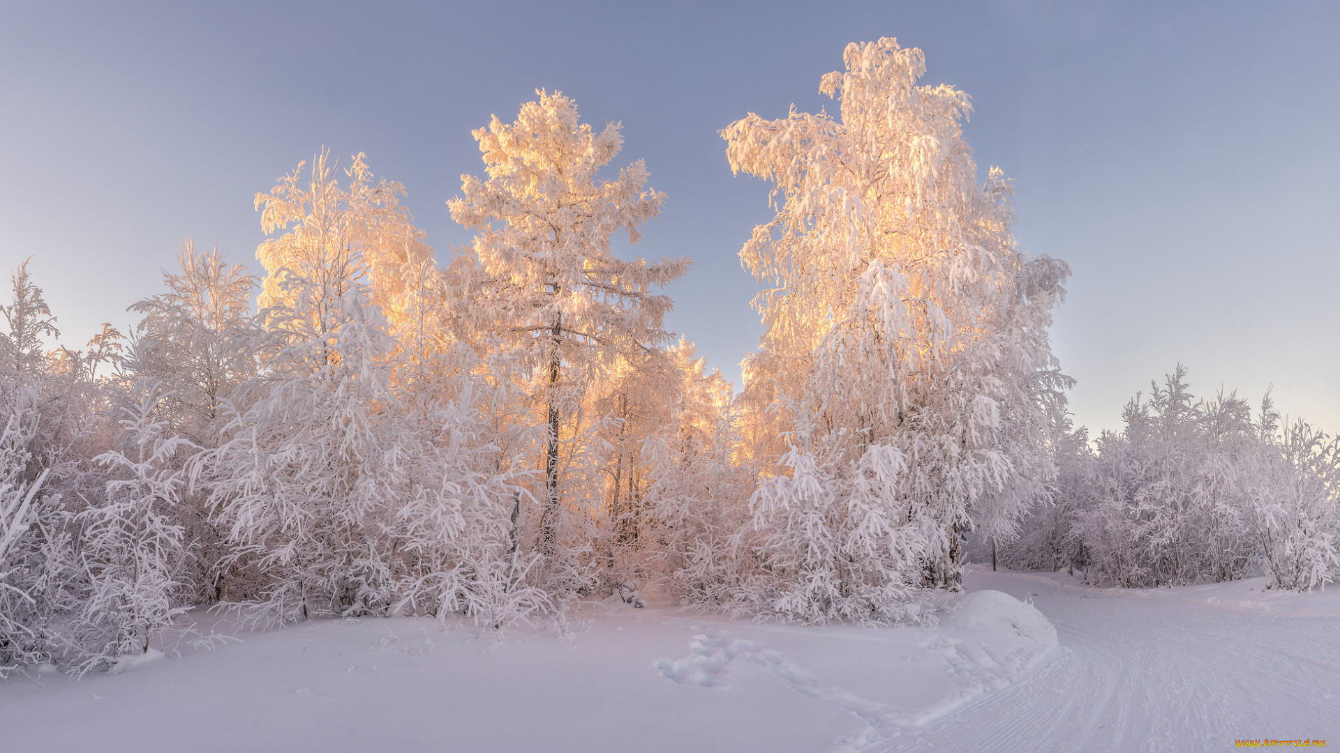 природа, зима, снег, деревья