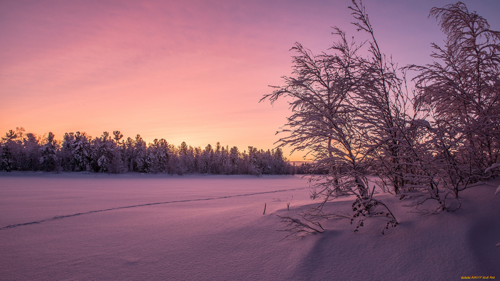 природа, зима, снег, деревья