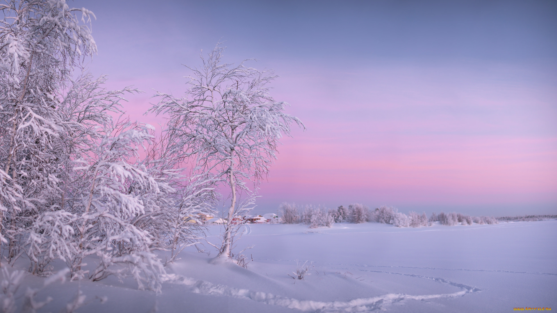 природа, зима, снег, деревья