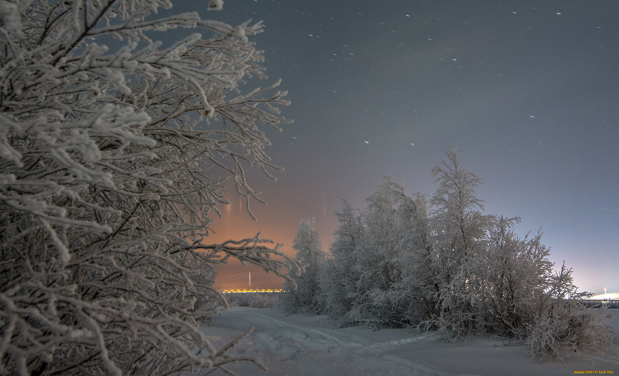 природа, зима, деревья, снег