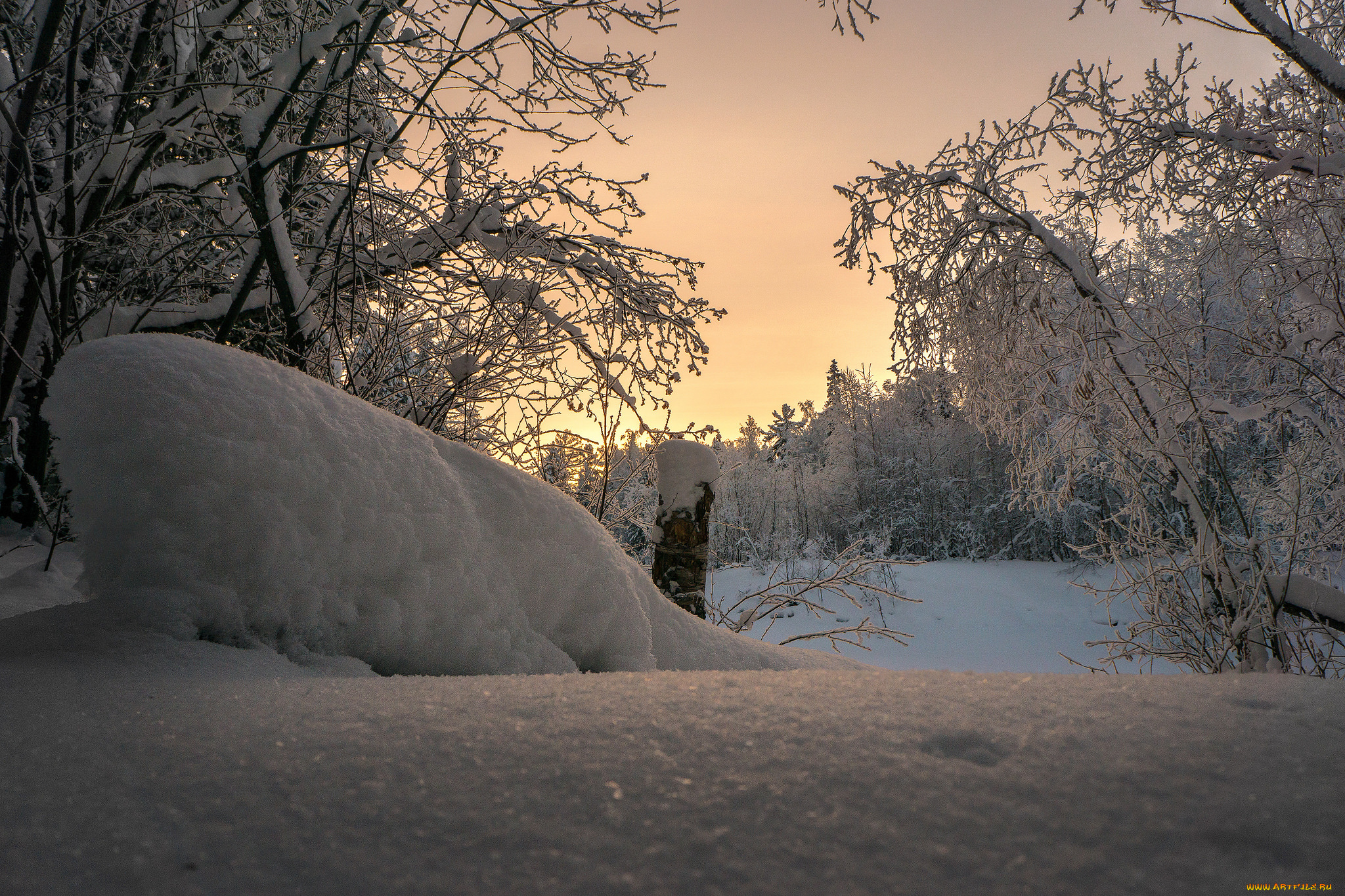 природа, зима, снег, деревья