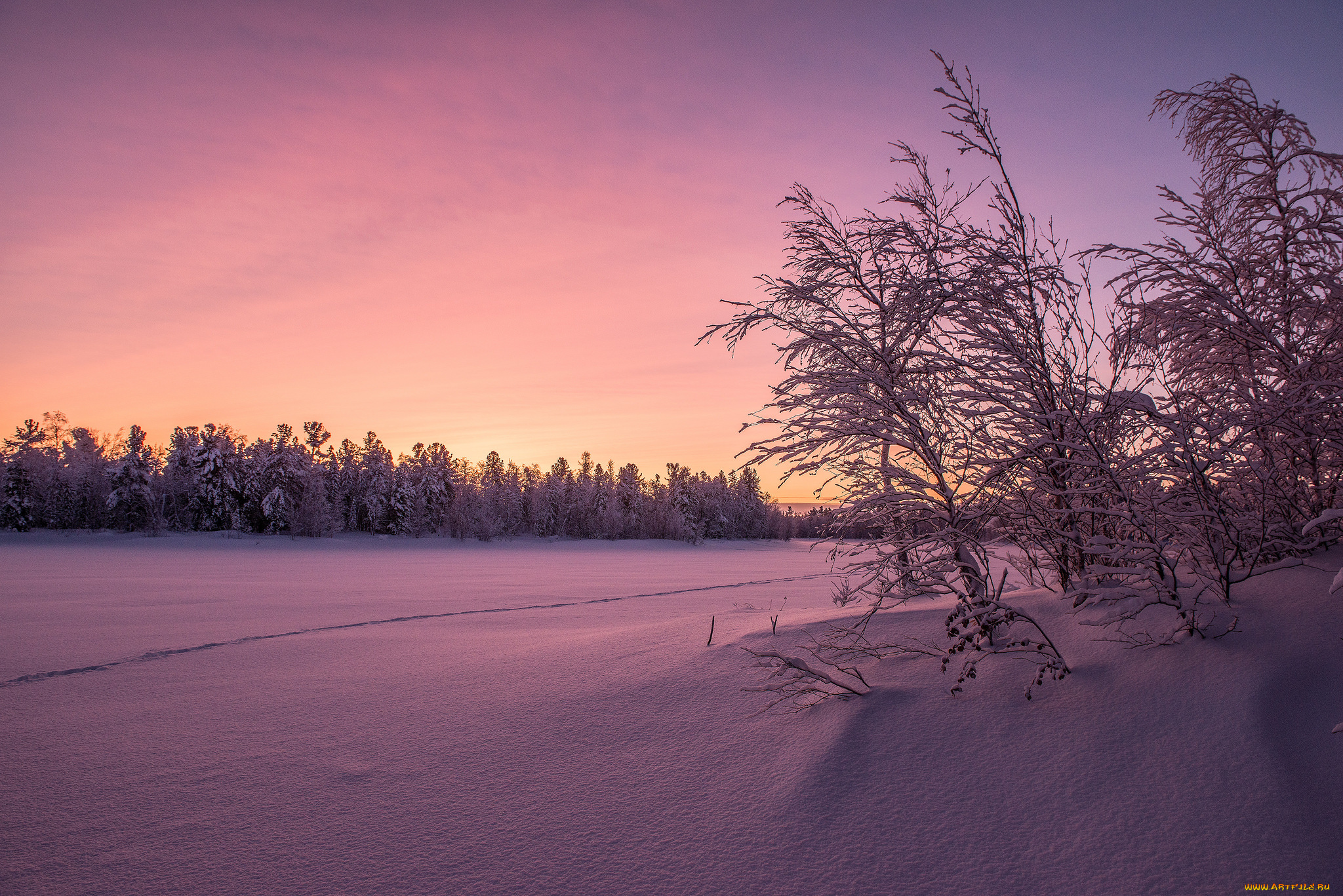 природа, зима, снег, деревья