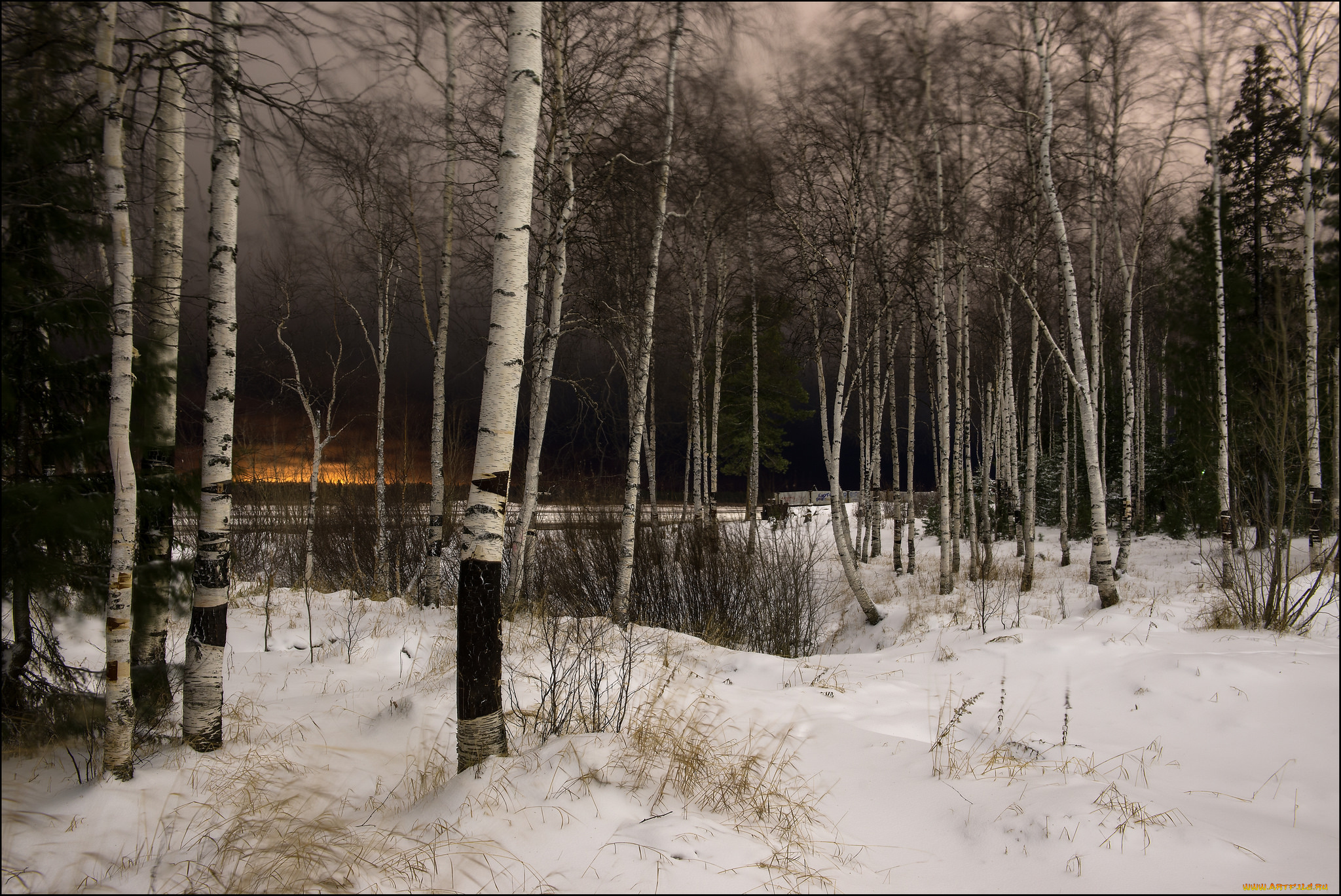 природа, зима, снег, деревья