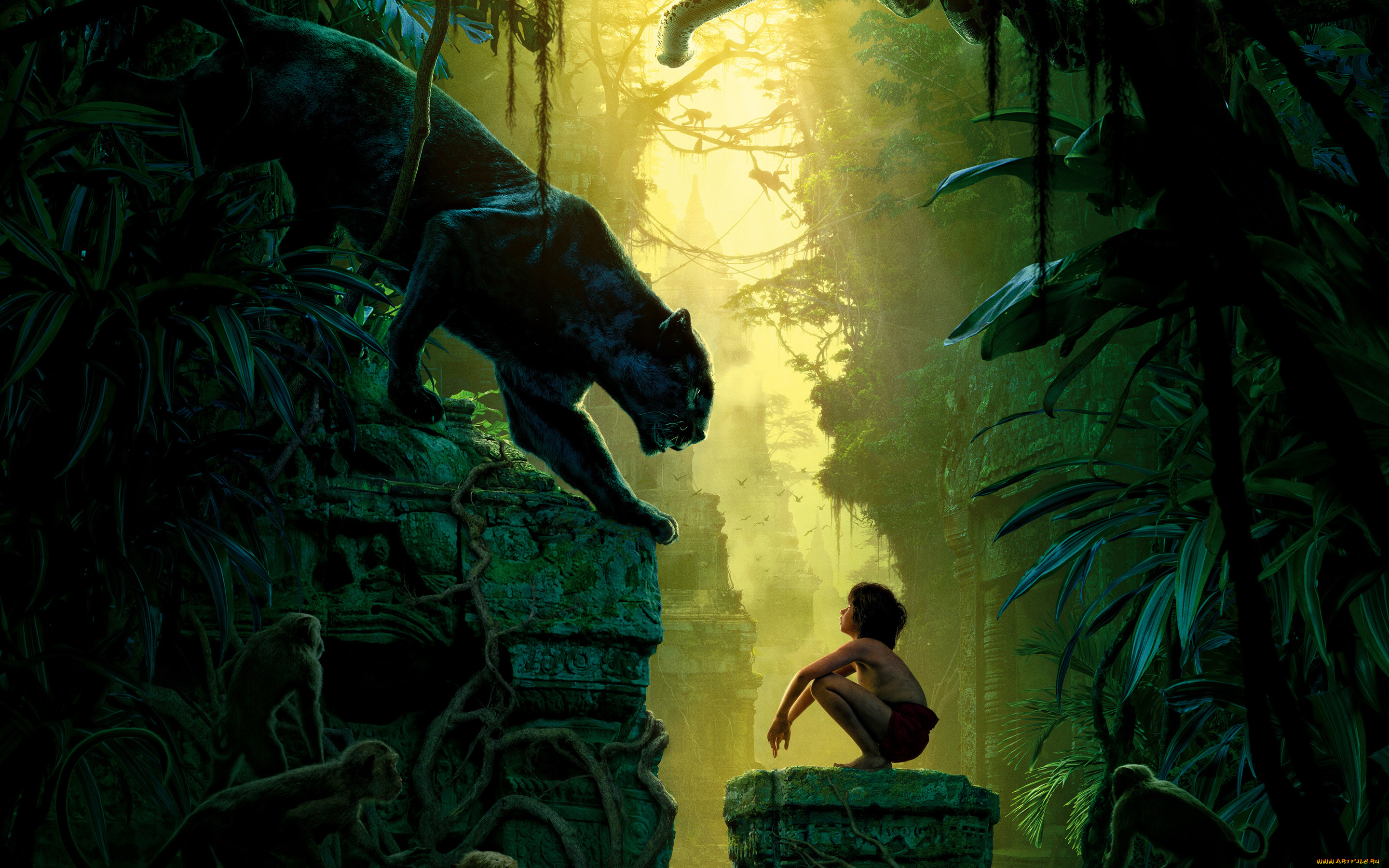 кино, фильмы, the, jungle, book, the, jungle, book