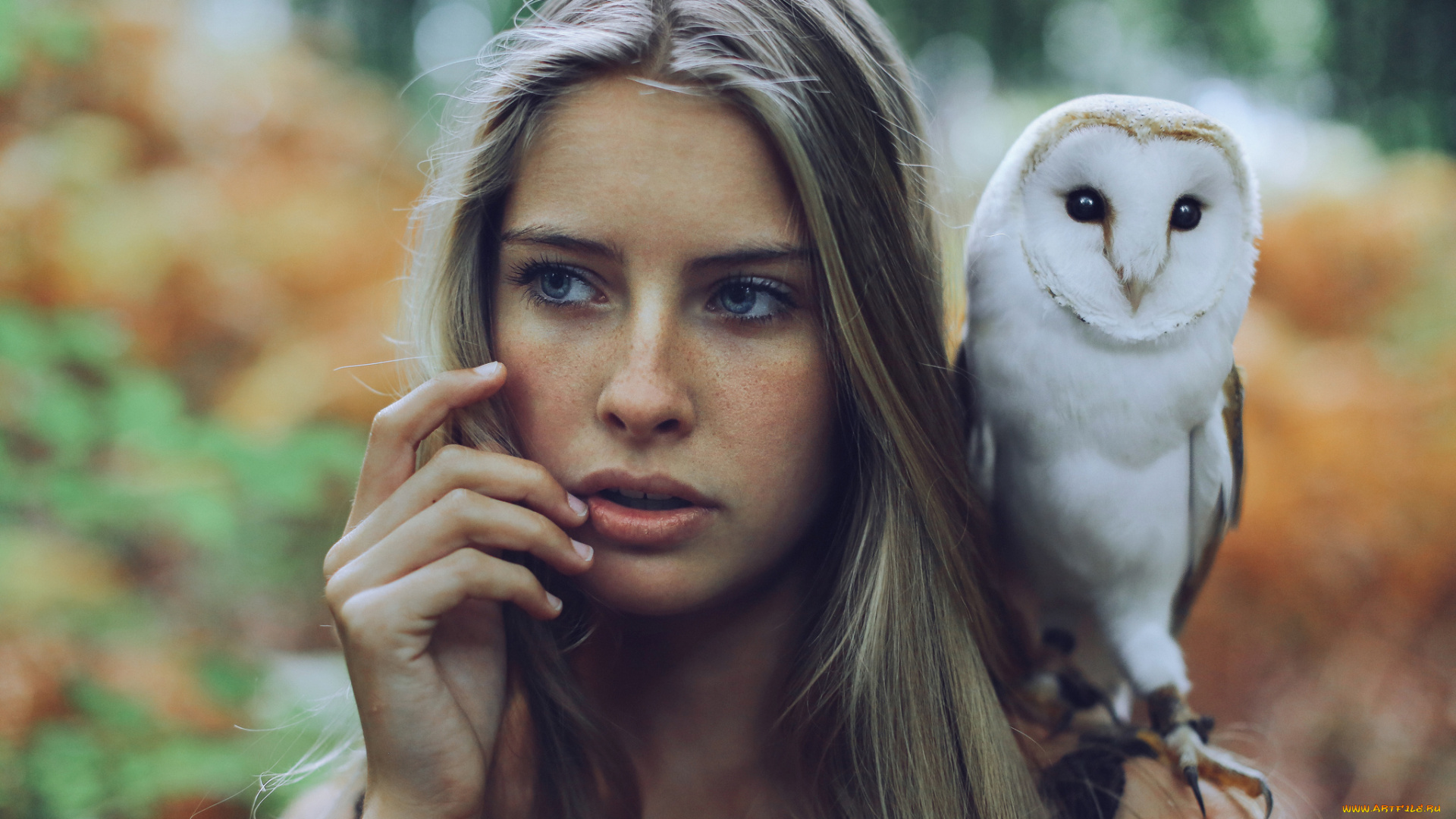 девушки, -unsort, , лица, , портреты, лицо, взгляд