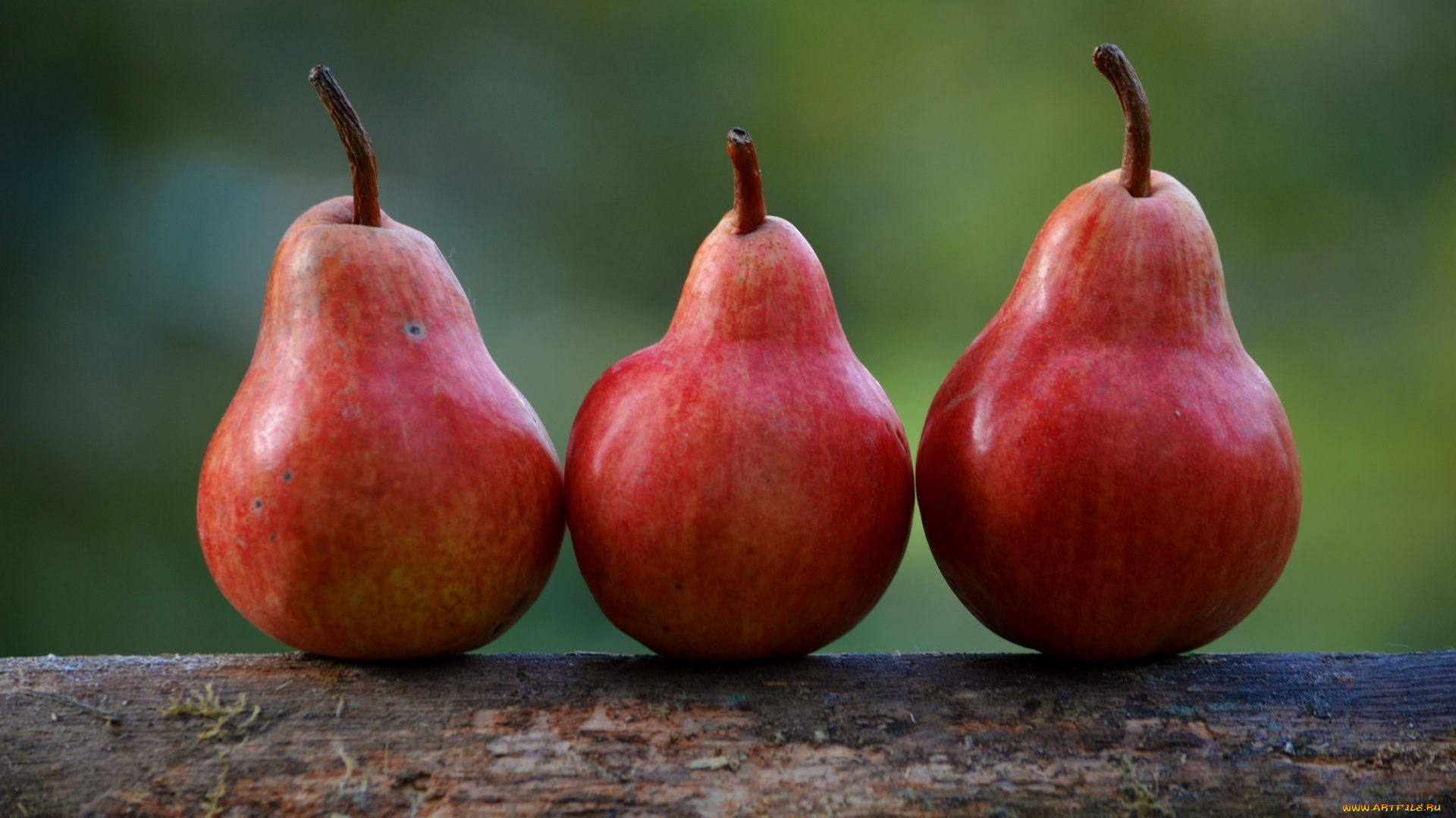 еда, груши, трио