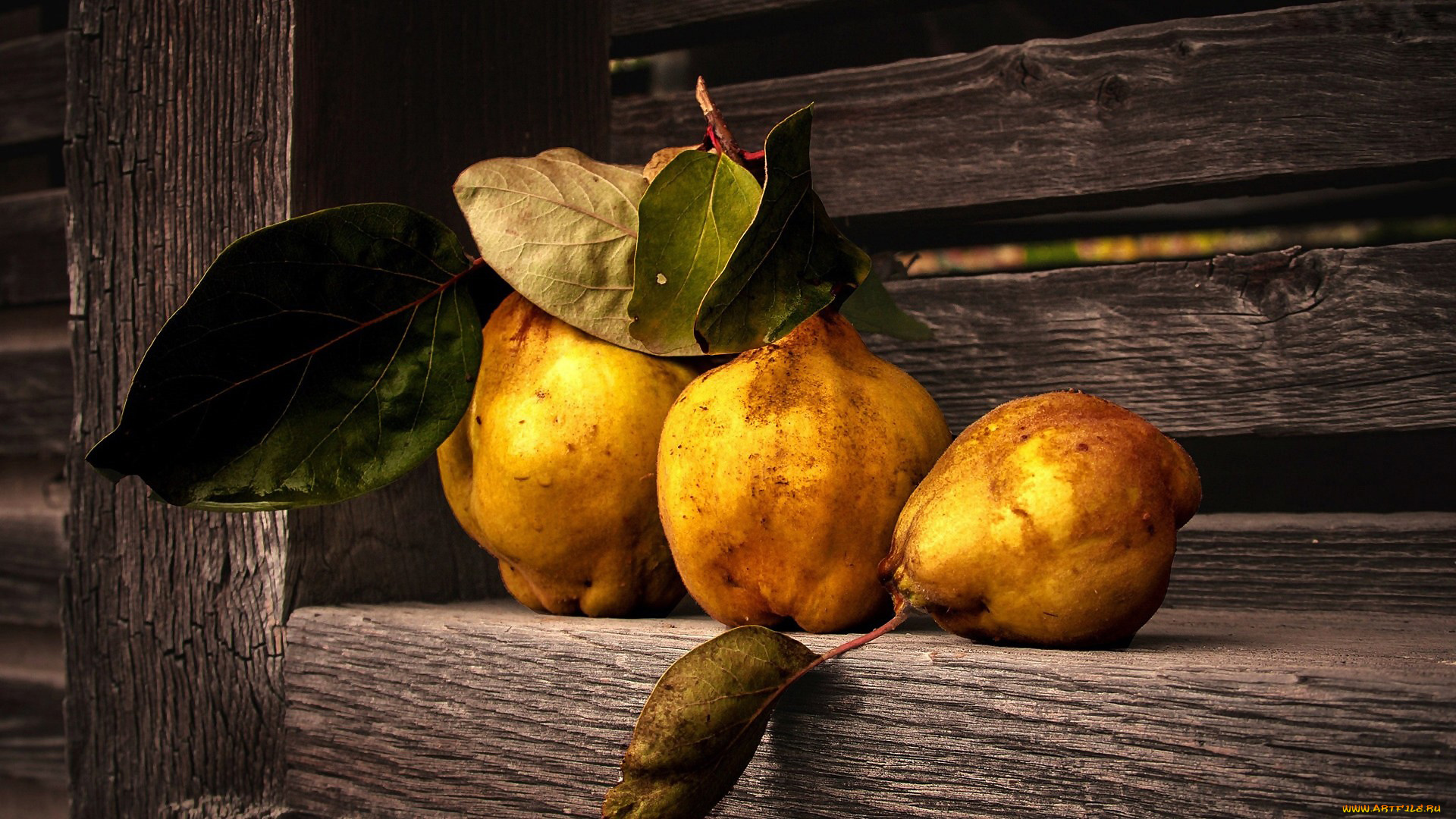 еда, груши, трио