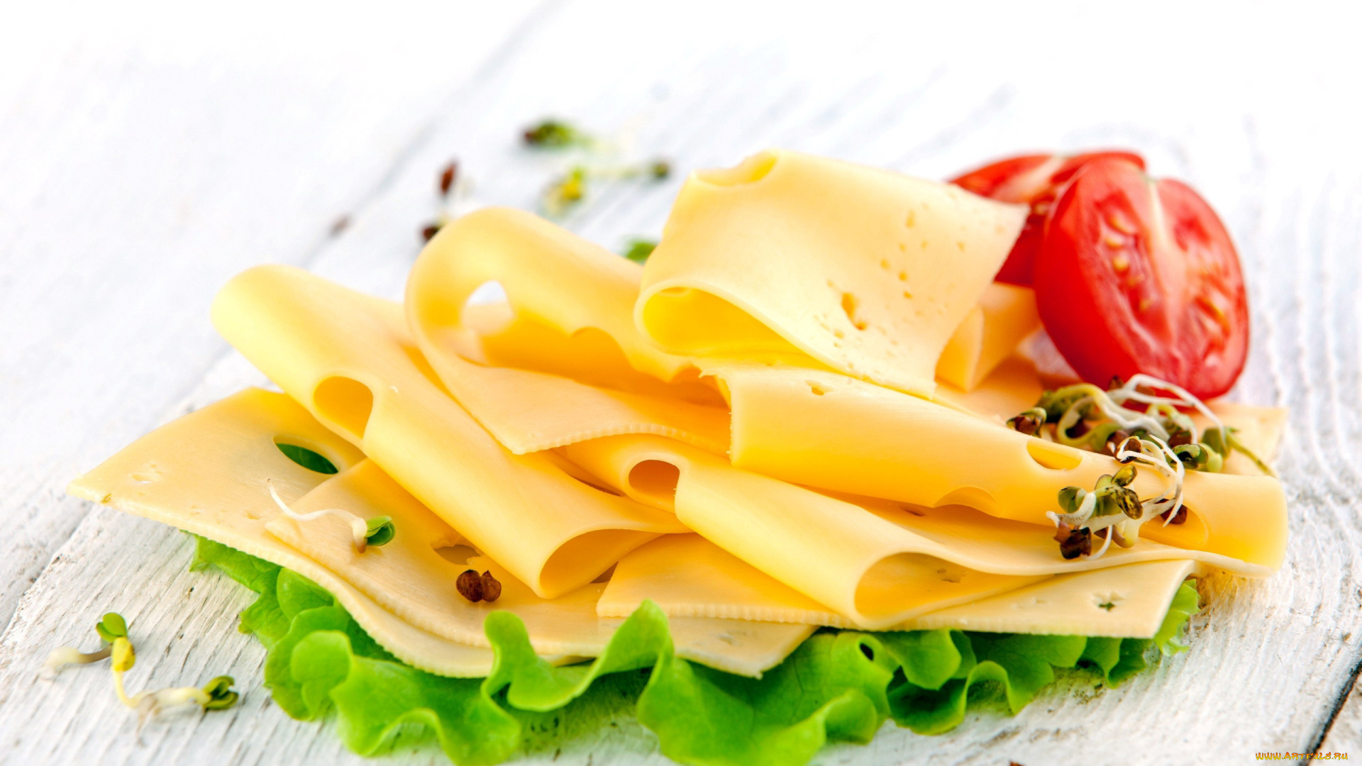 еда, сырные, изделия, помидоры, сыр, ломтики, салат, томаты