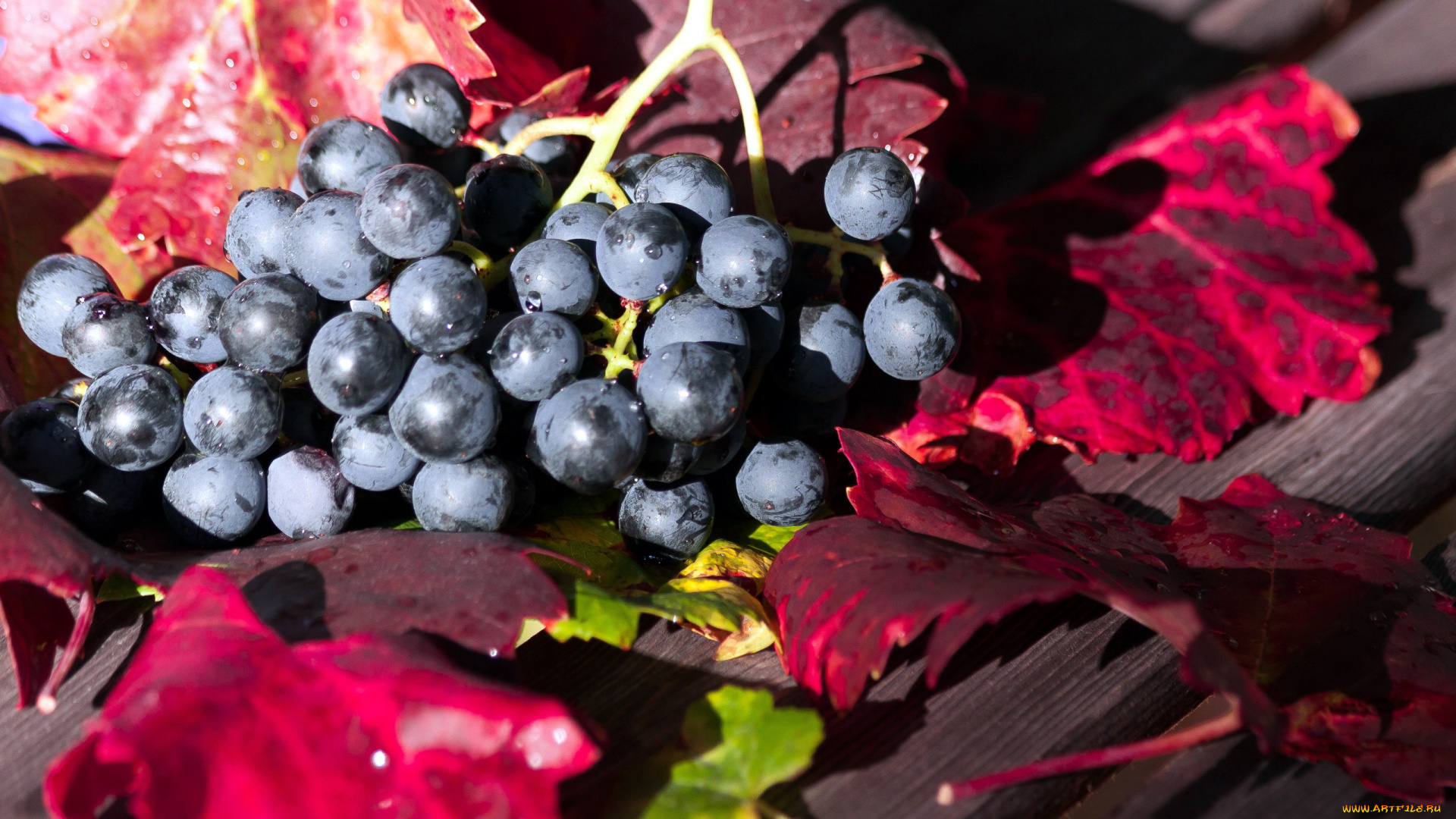 еда, виноград, гроздь, листья