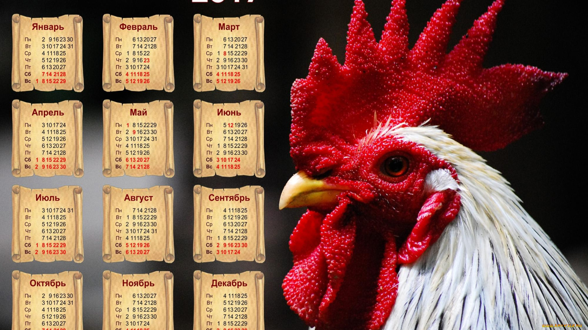 календари, животные, петух