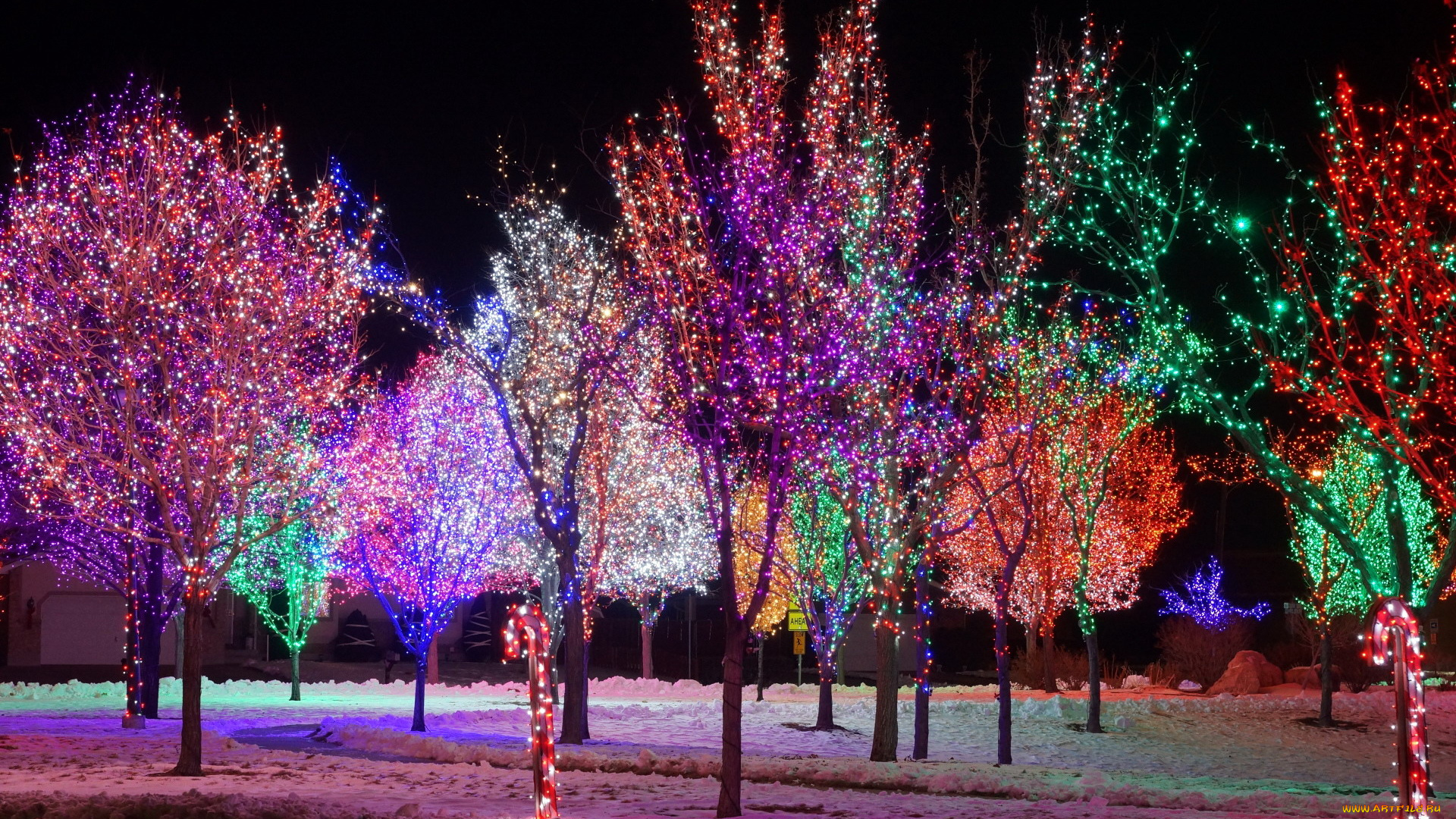 праздничные, новогодние, пейзажи, иллюминация, деревья