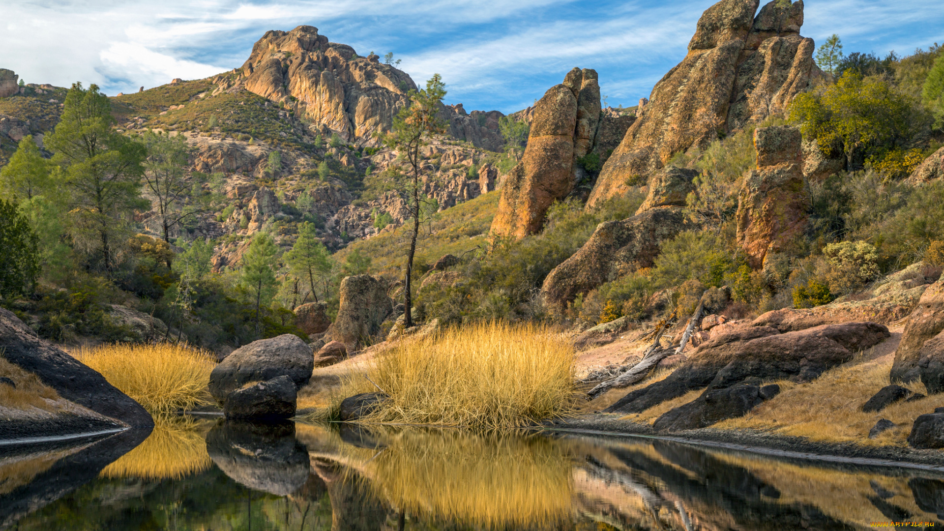 природа, реки, озера, река, лес