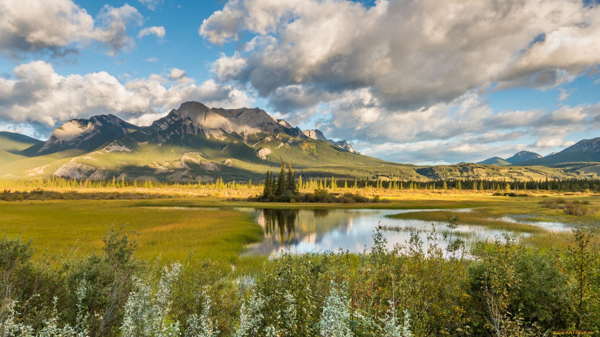 природа, реки, озера, река, лес