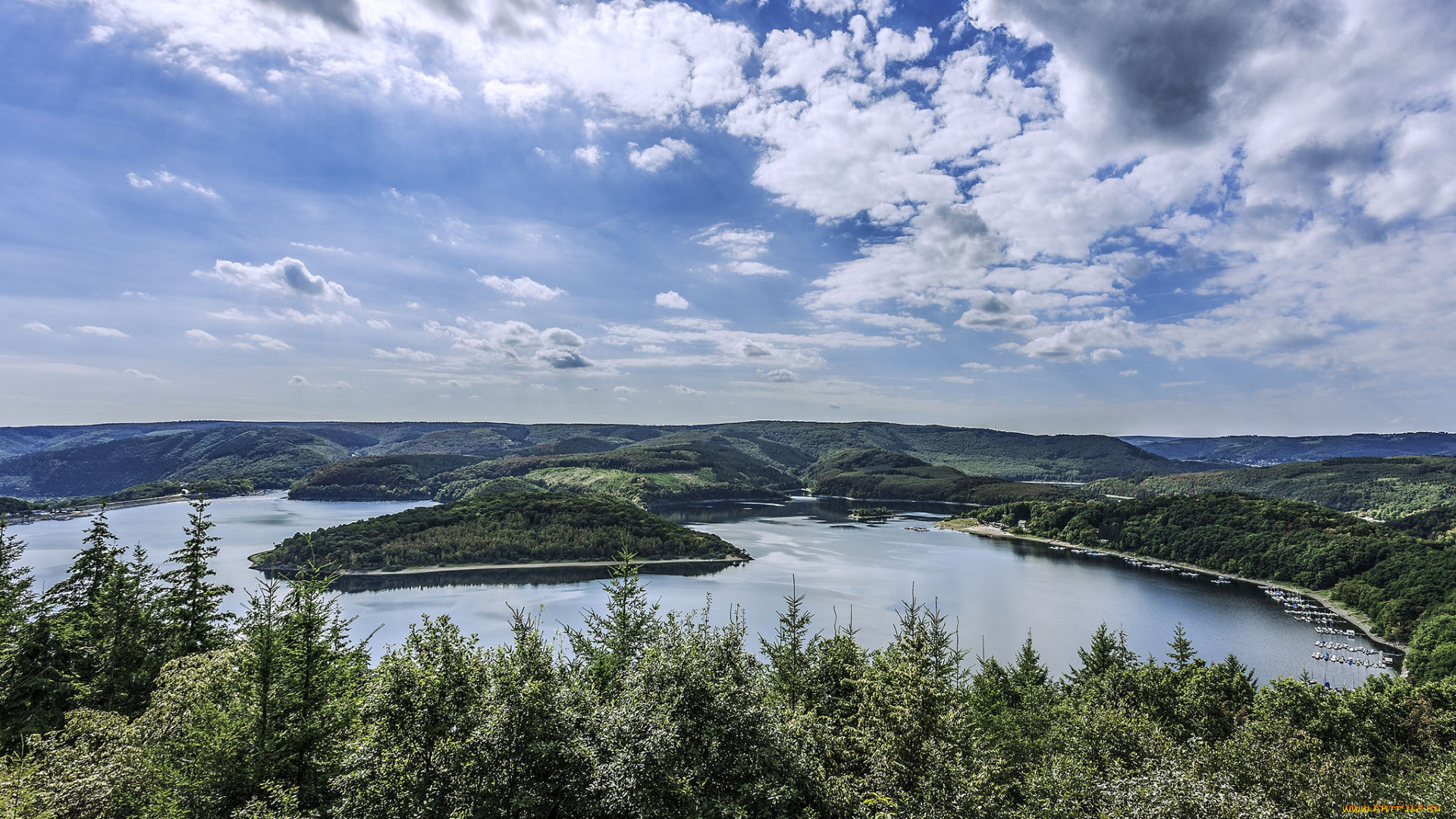 природа, реки, озера, река, лес