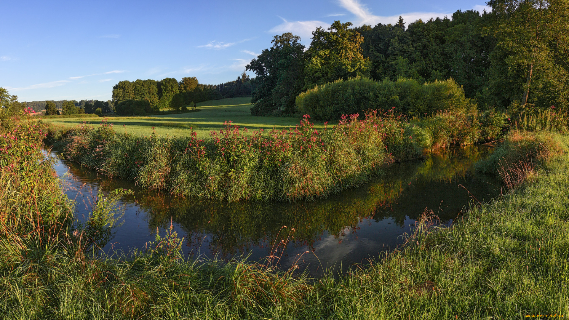 природа, реки, озера, река, лес