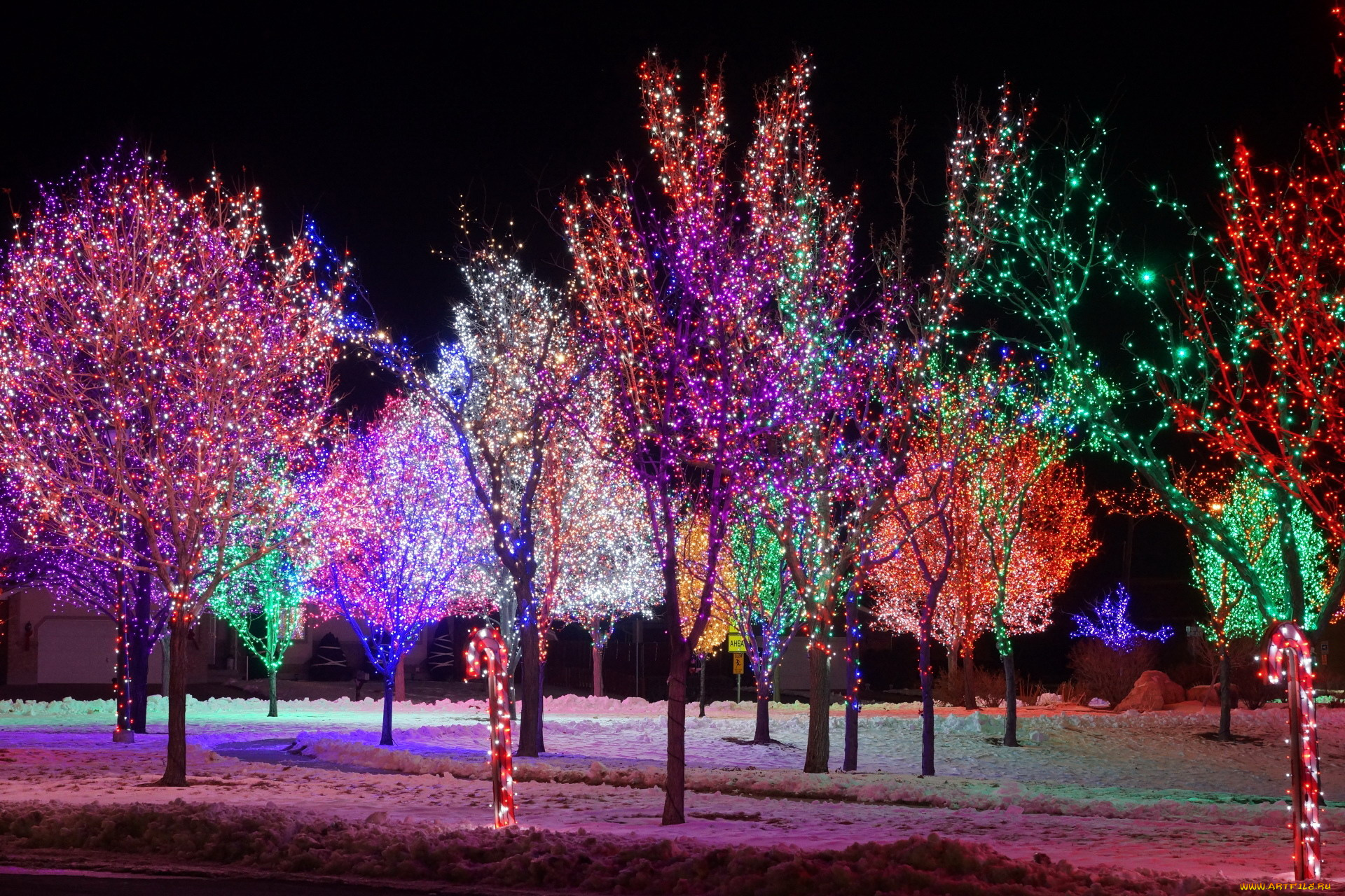праздничные, новогодние, пейзажи, иллюминация, деревья