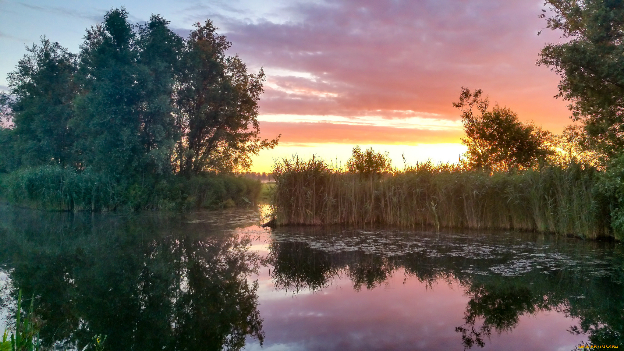 природа, реки, озера, река, лес