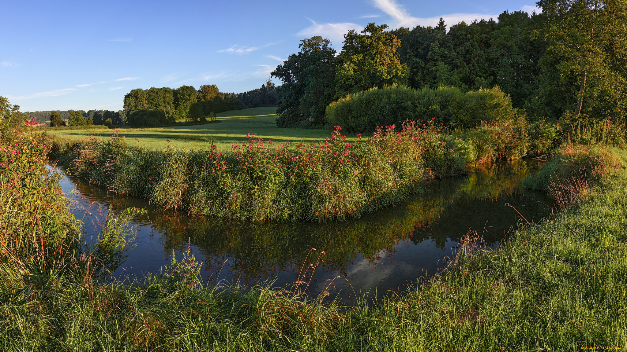 природа, реки, озера, река, лес