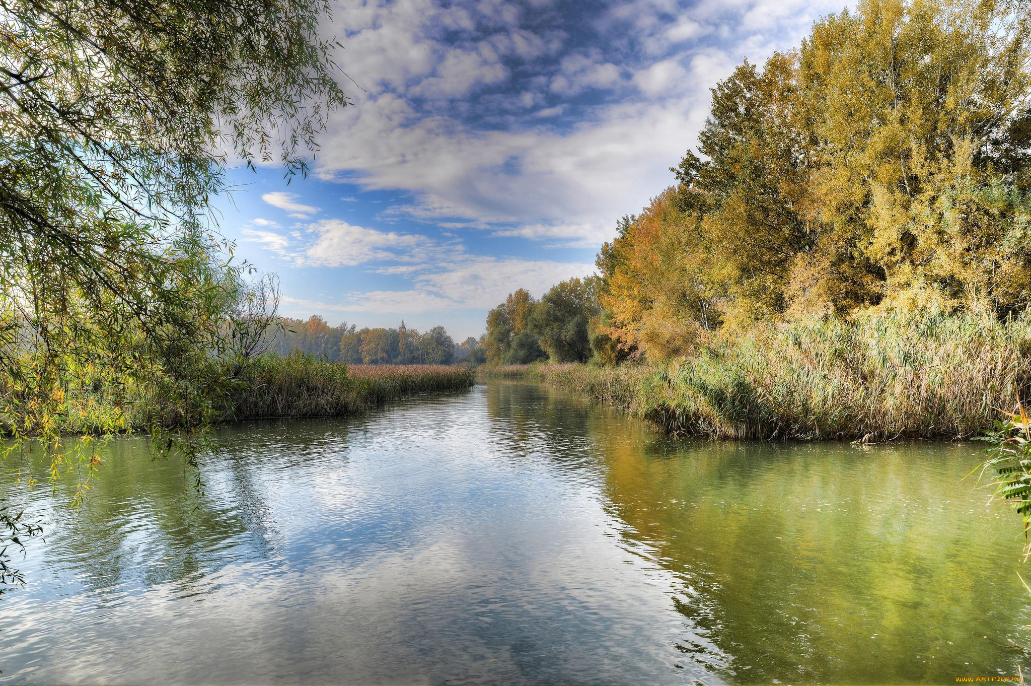 природа, реки, озера, озеро, облака