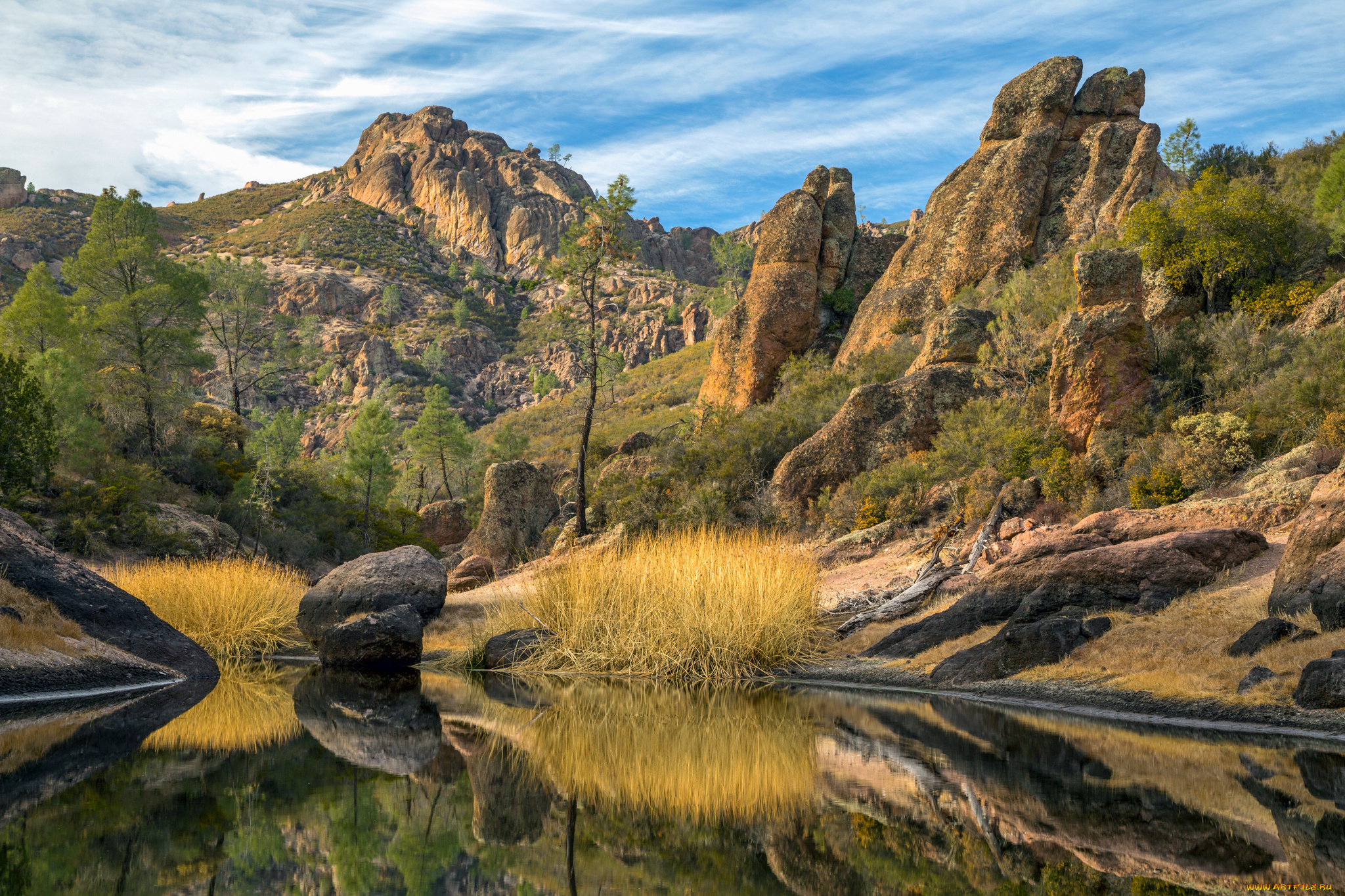 природа, реки, озера, река, лес