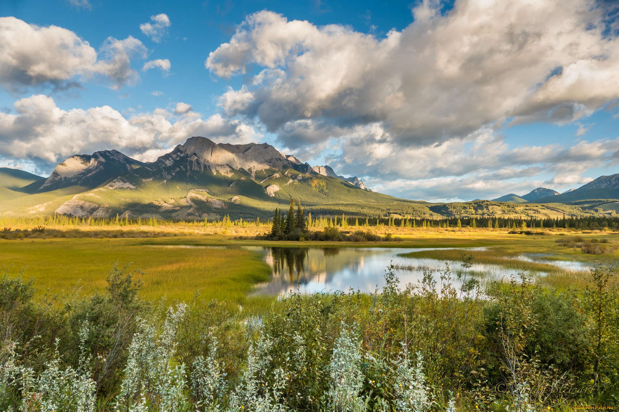 природа, реки, озера, река, лес