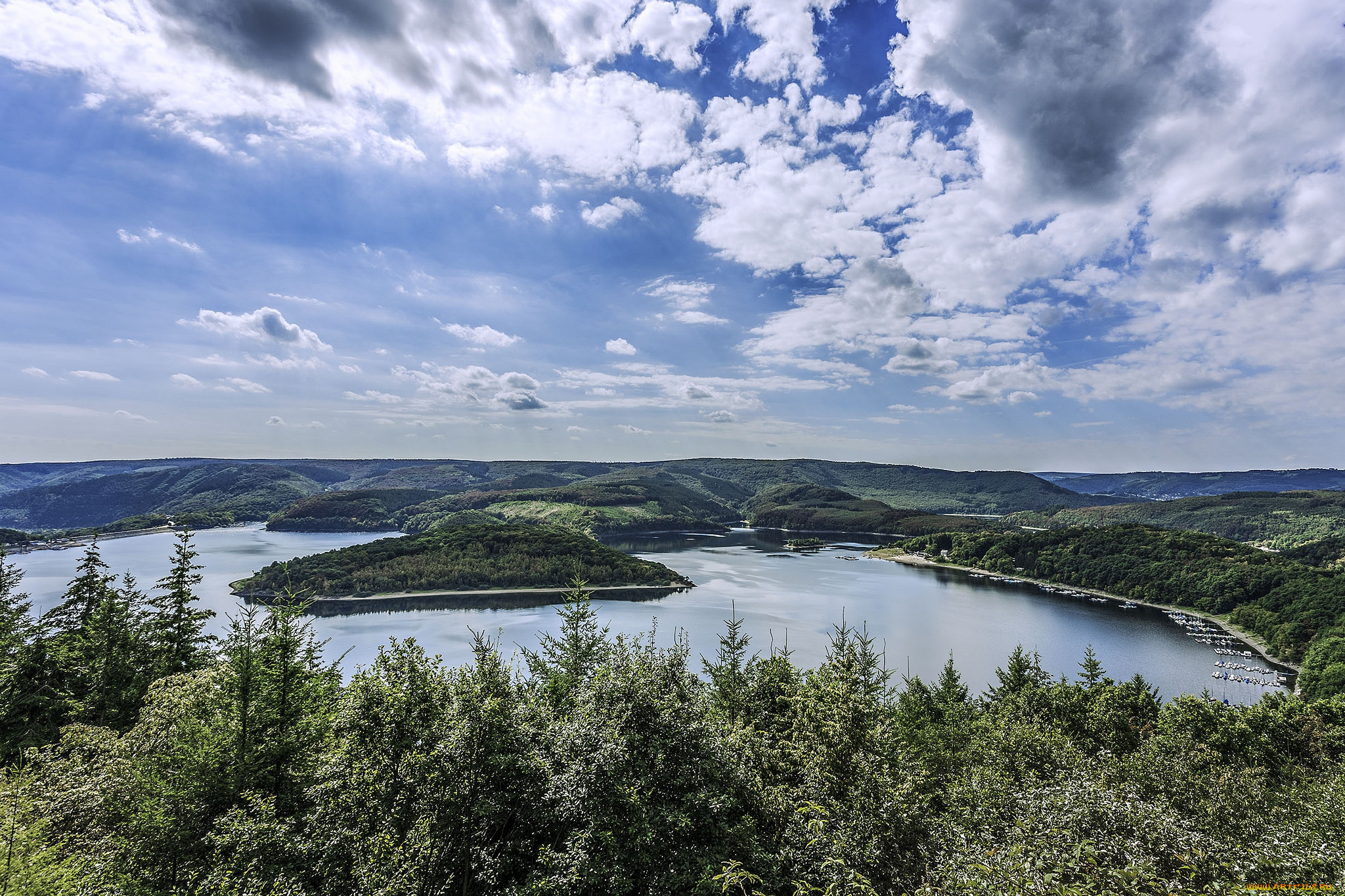 природа, реки, озера, река, лес