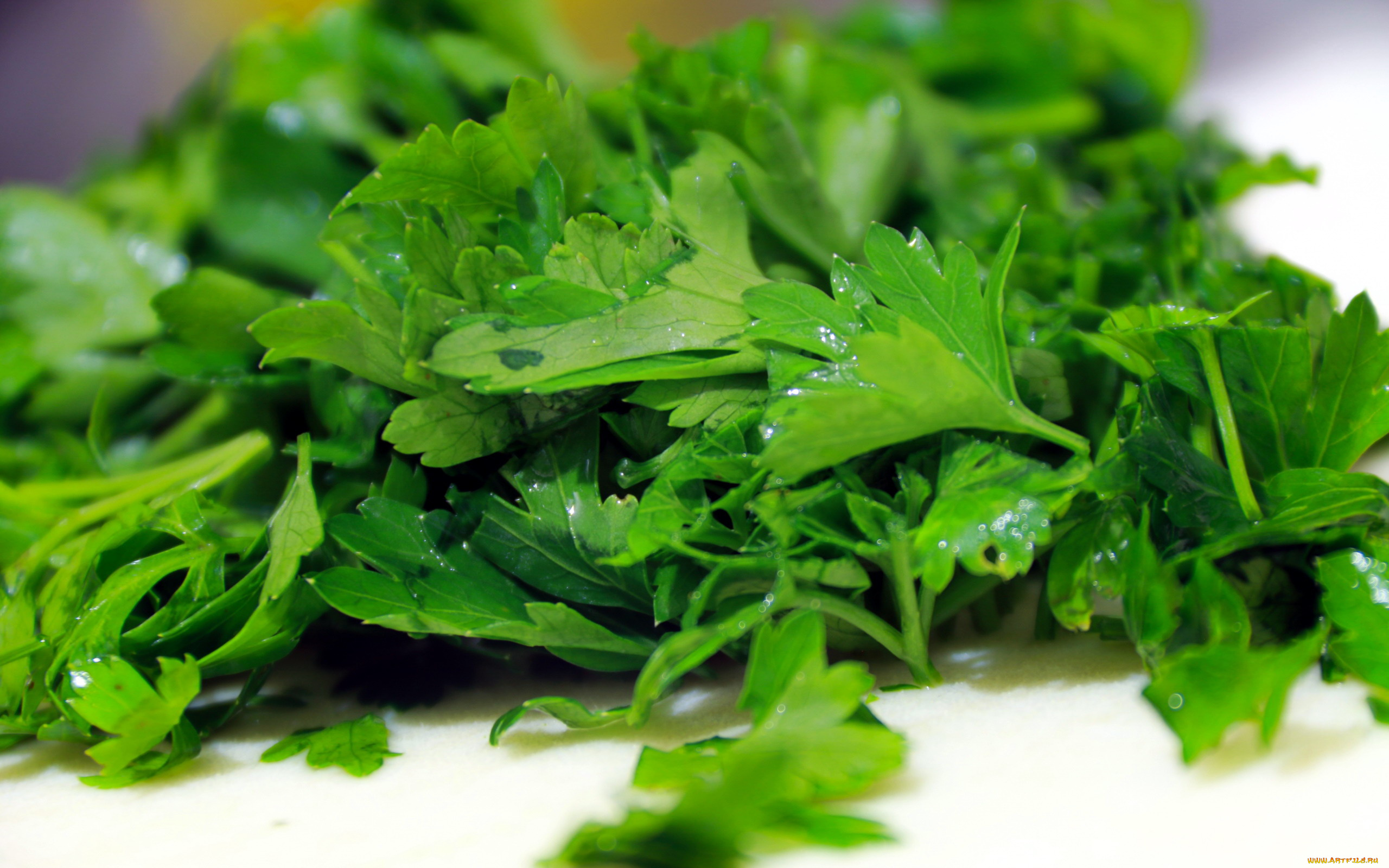 еда, разное, петрушка, зелень