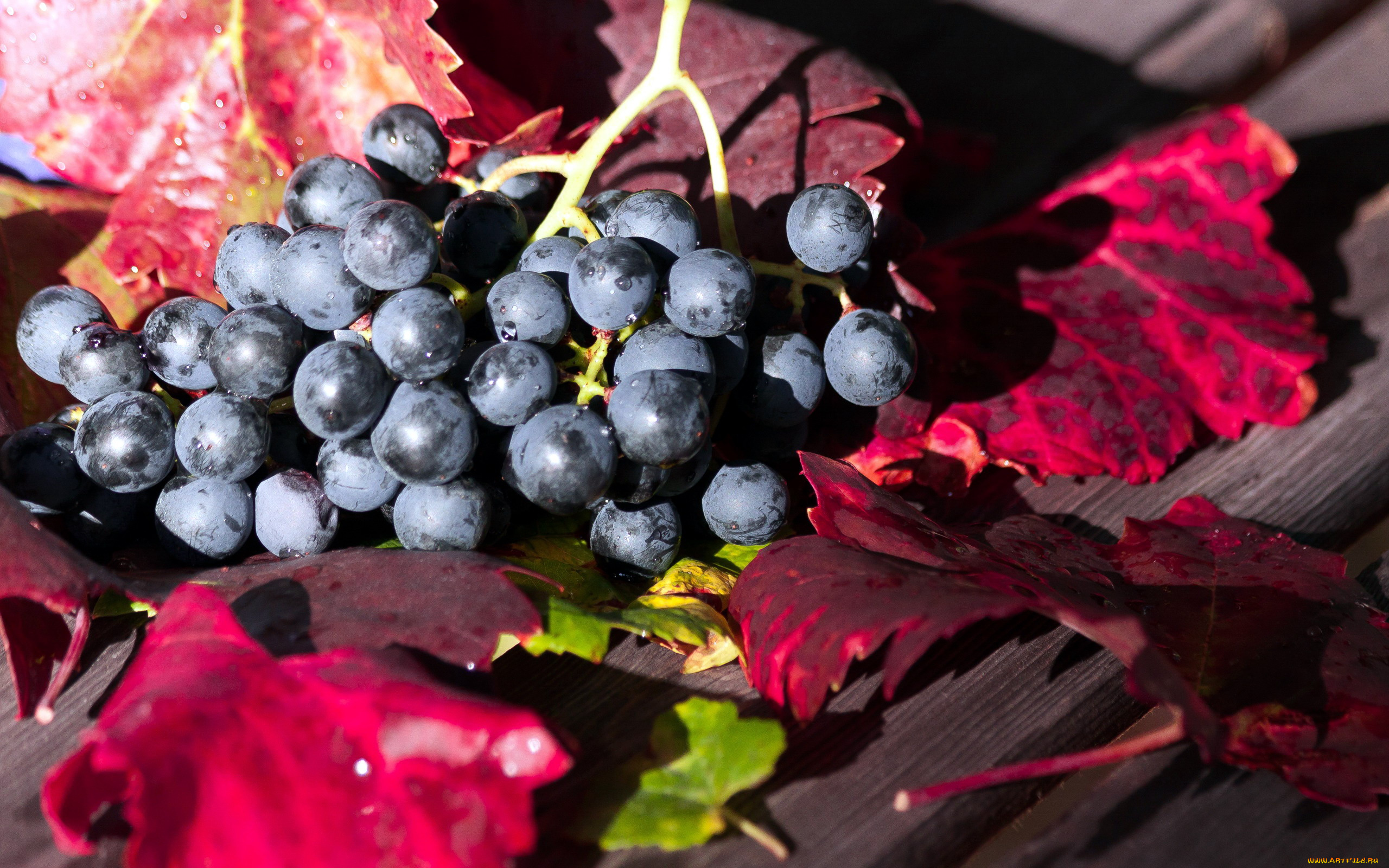 еда, виноград, гроздь, листья