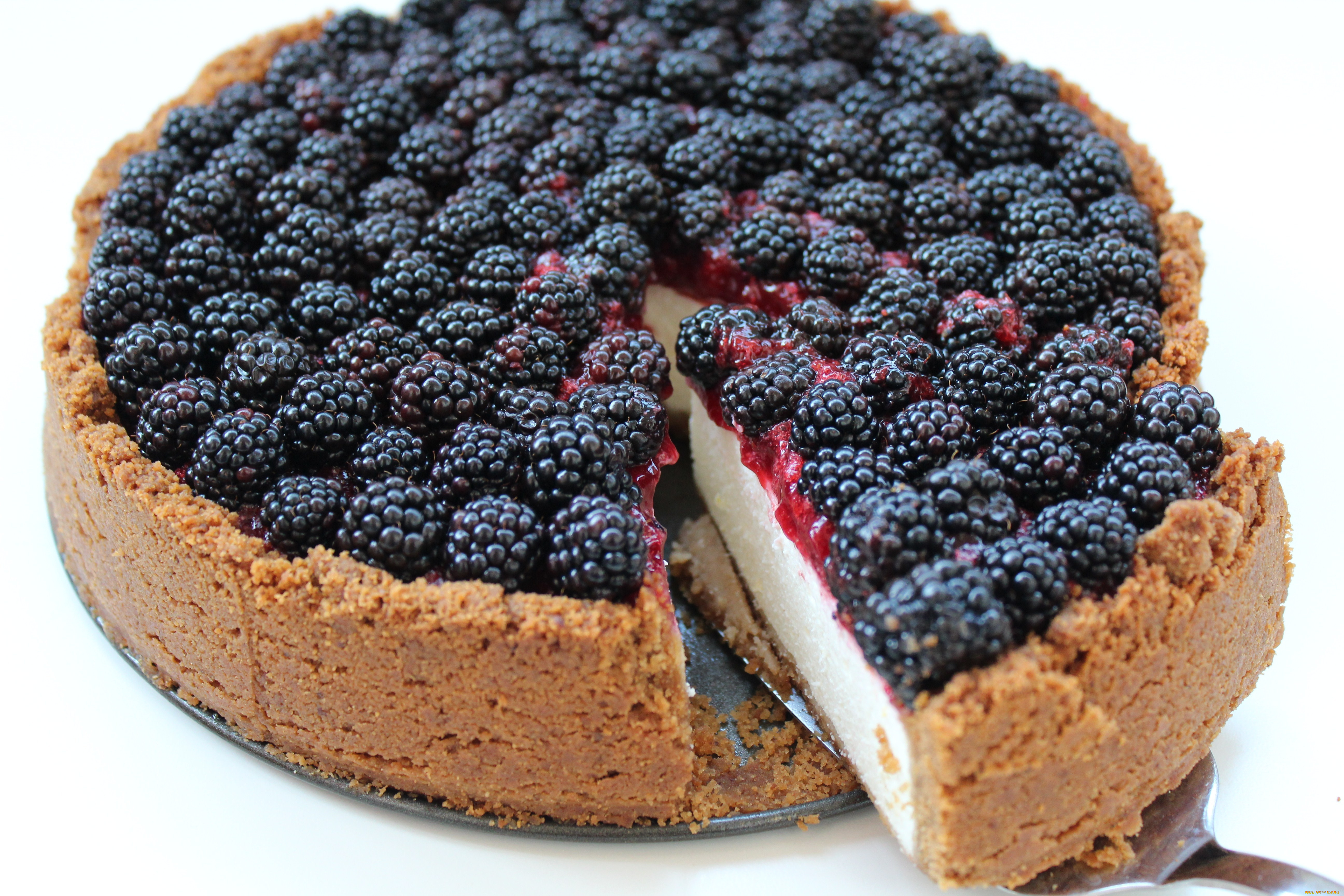 еда, пироги, чизкейк, ягоды, ежевика, пирог, кусок