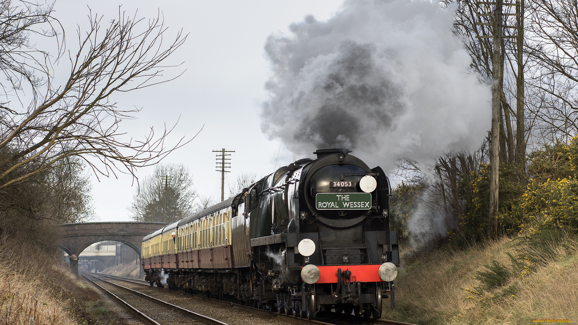 техника, паровозы, локомотив, состав