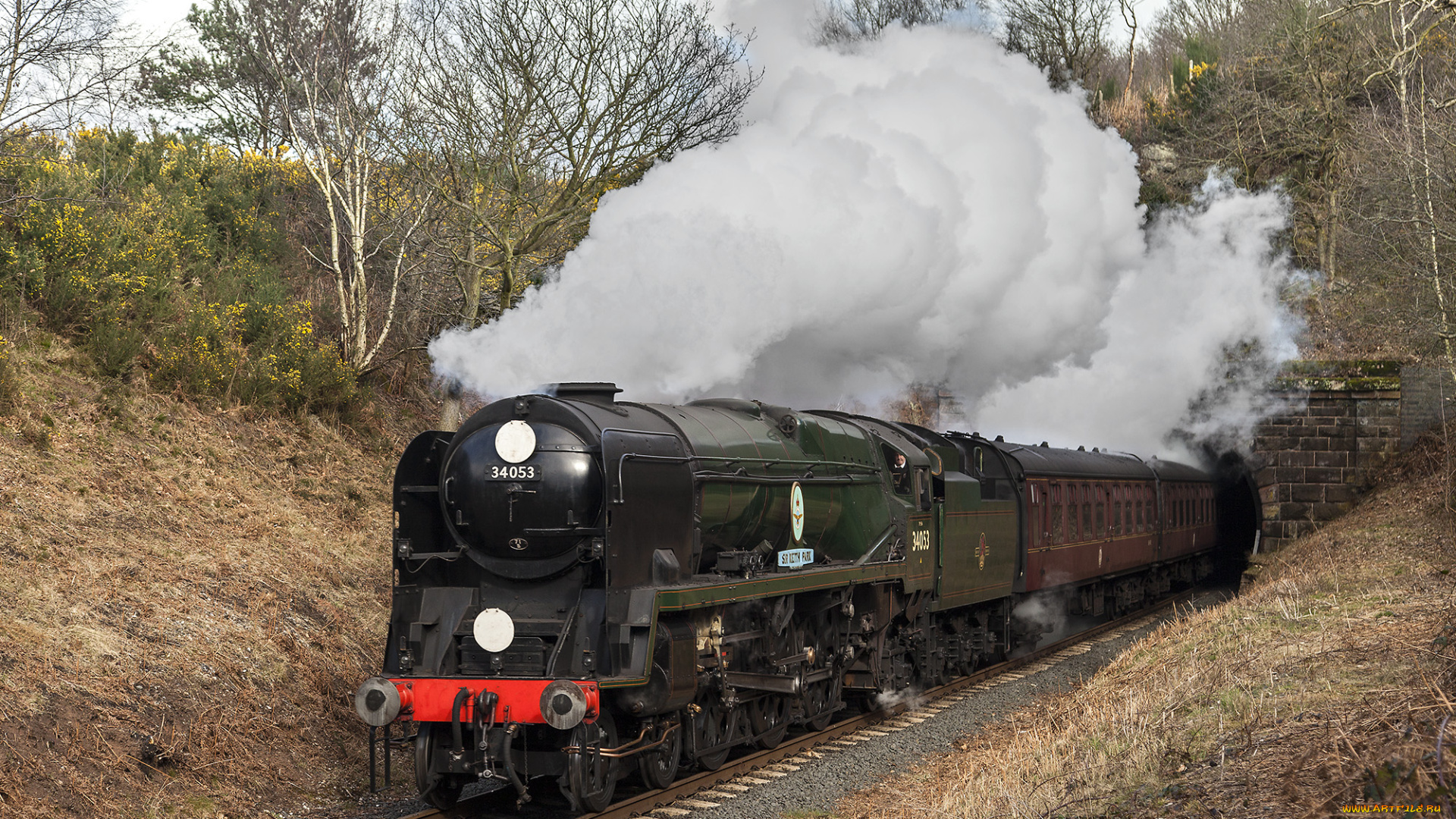 техника, паровозы, локомотив, состав