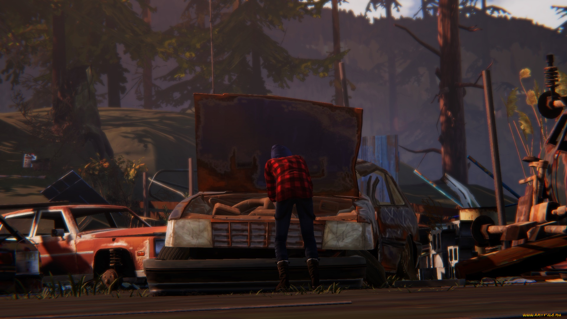 видео, игры, life, is, strange, , before, the, storm, персонаж