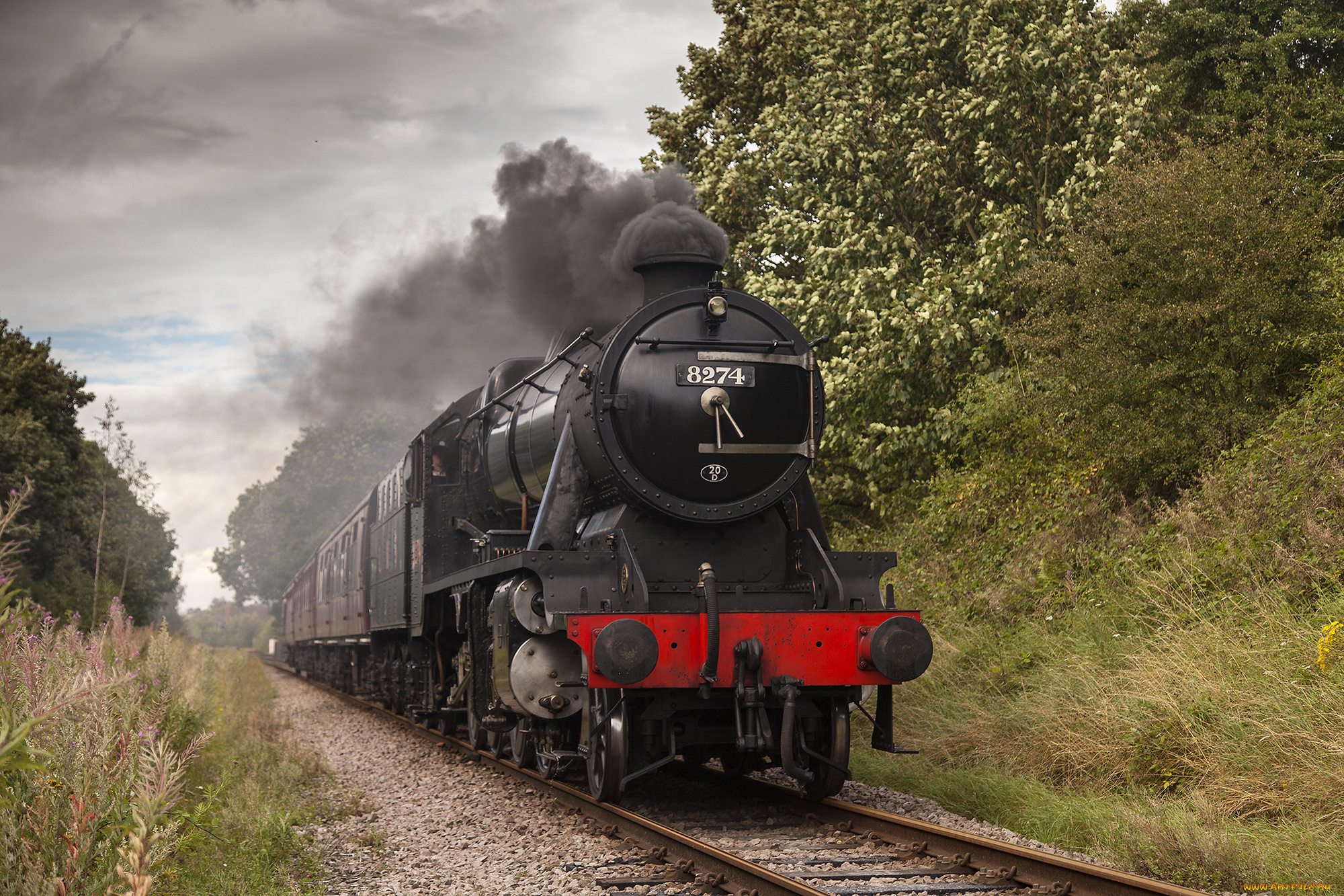 техника, паровозы, локомотив, состав