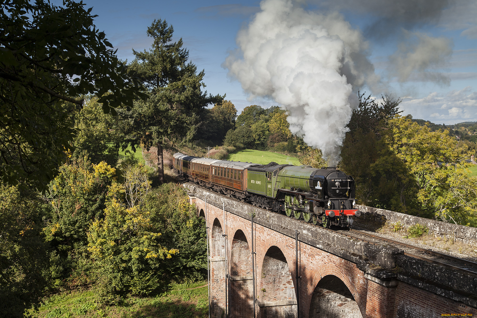 техника, паровозы, локомотив, состав