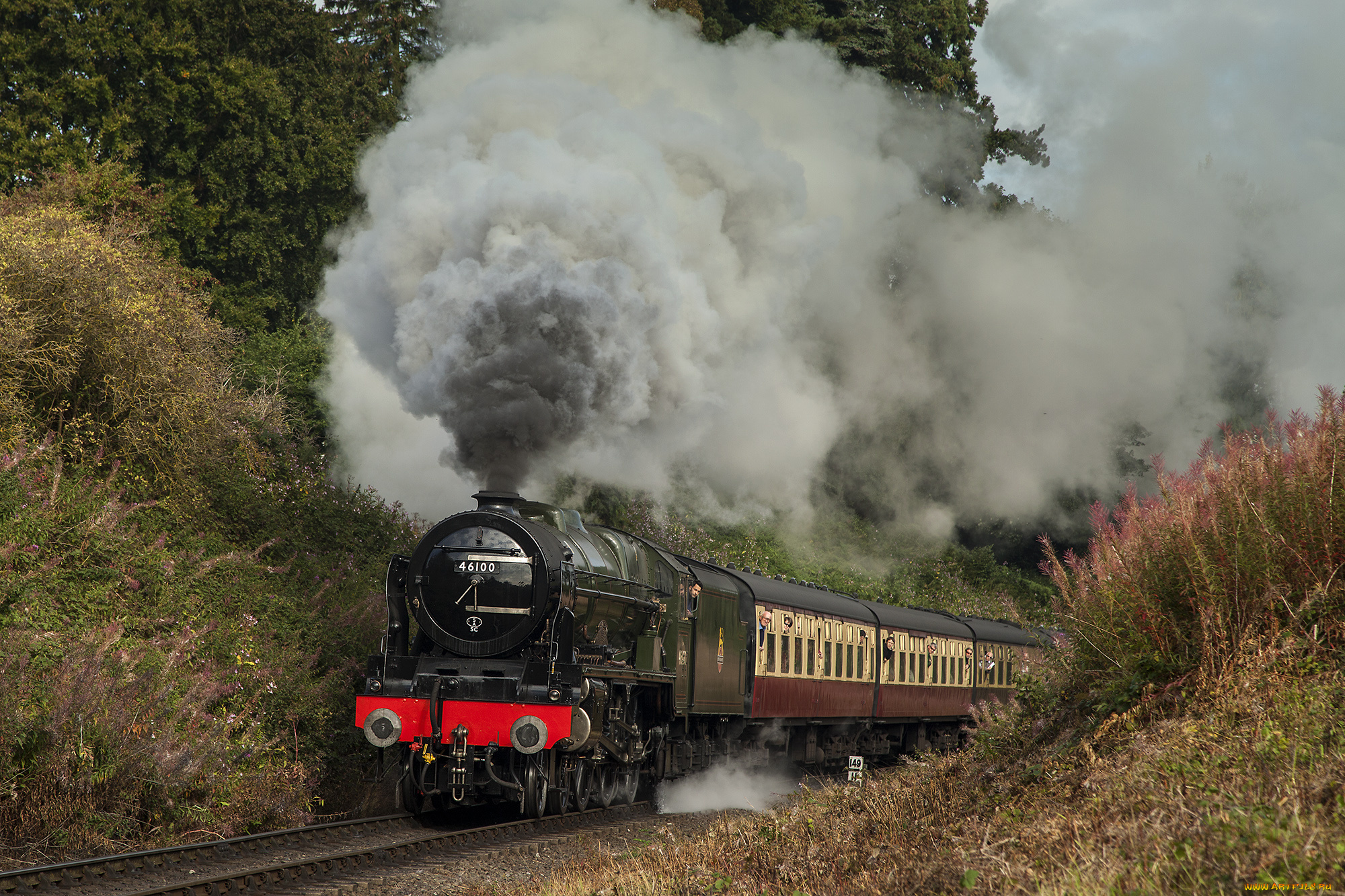 техника, паровозы, локомотив, состав