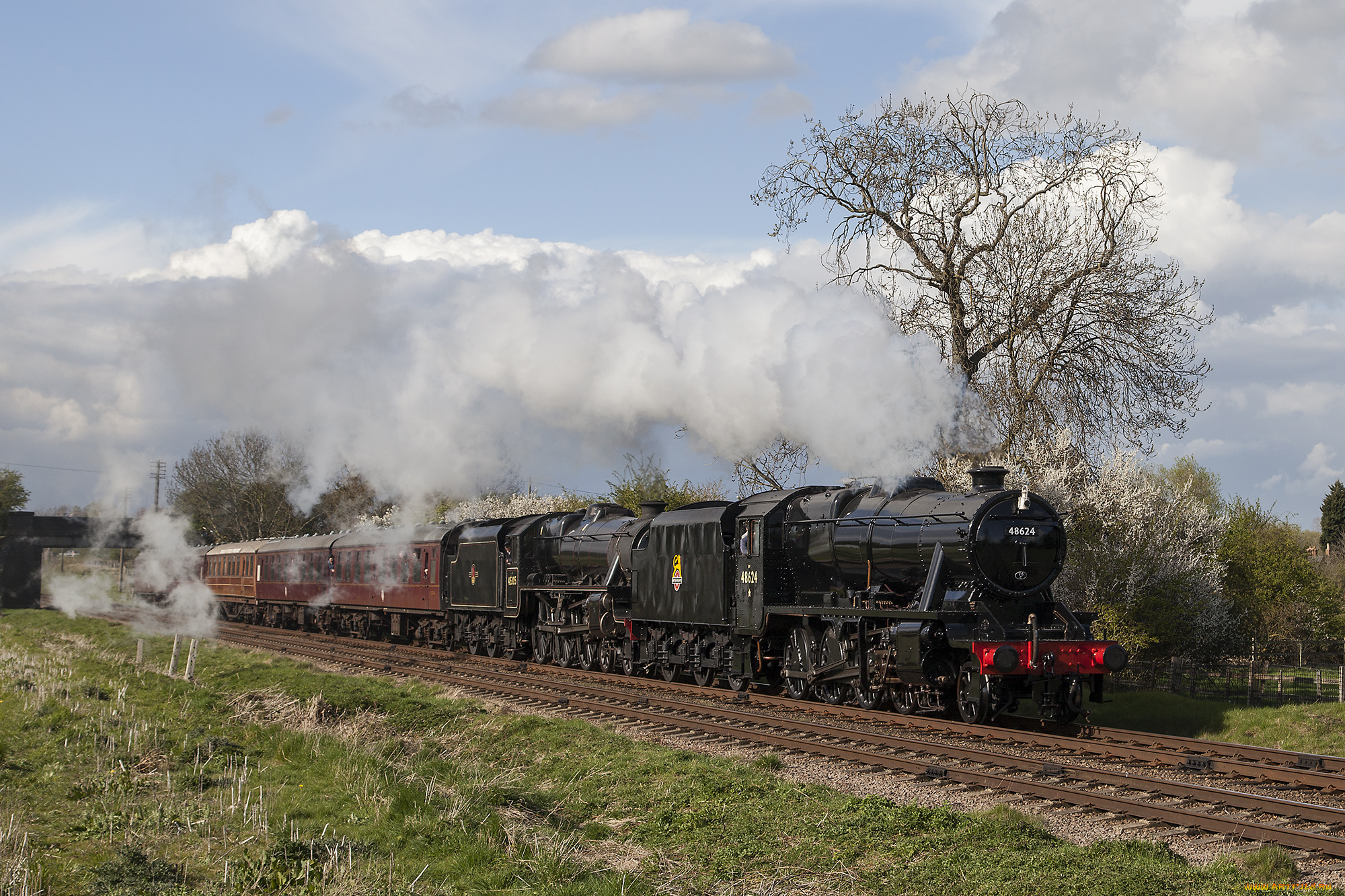 техника, паровозы, локомотив, состав