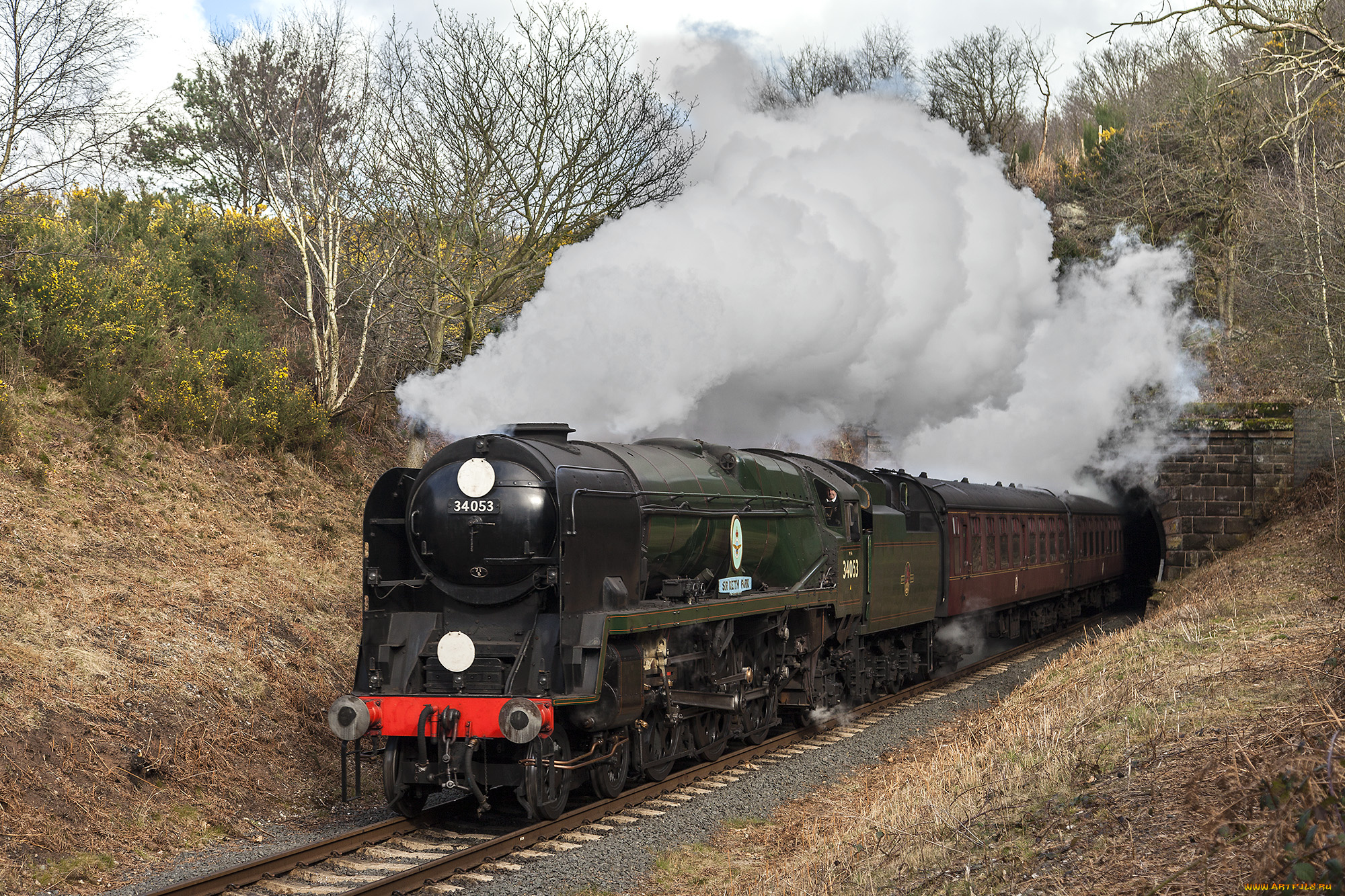 техника, паровозы, локомотив, состав