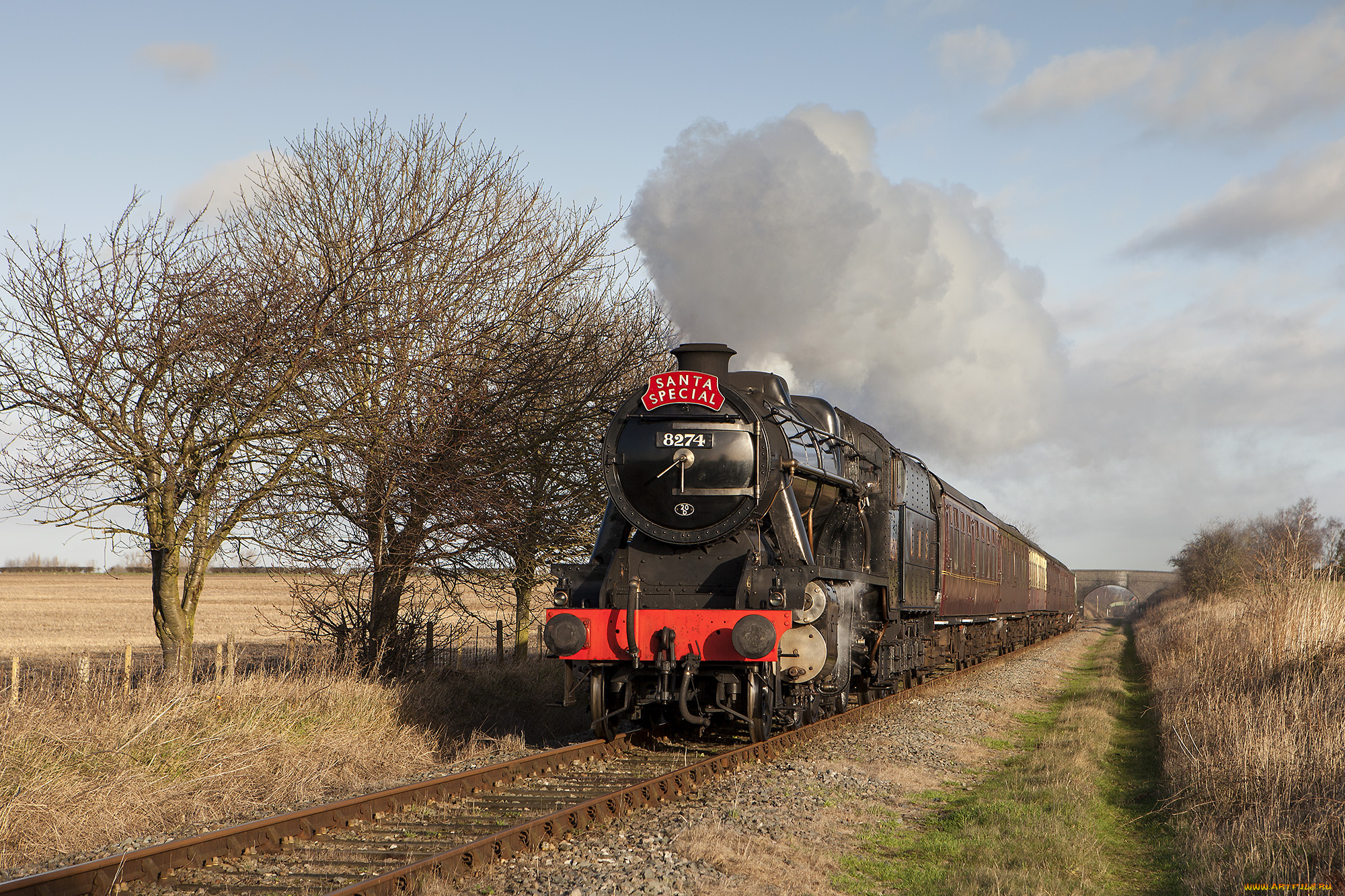 техника, паровозы, состав, локомотив