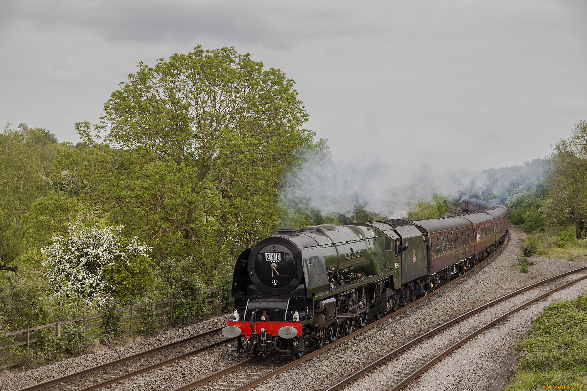 техника, паровозы, состав, локомотив