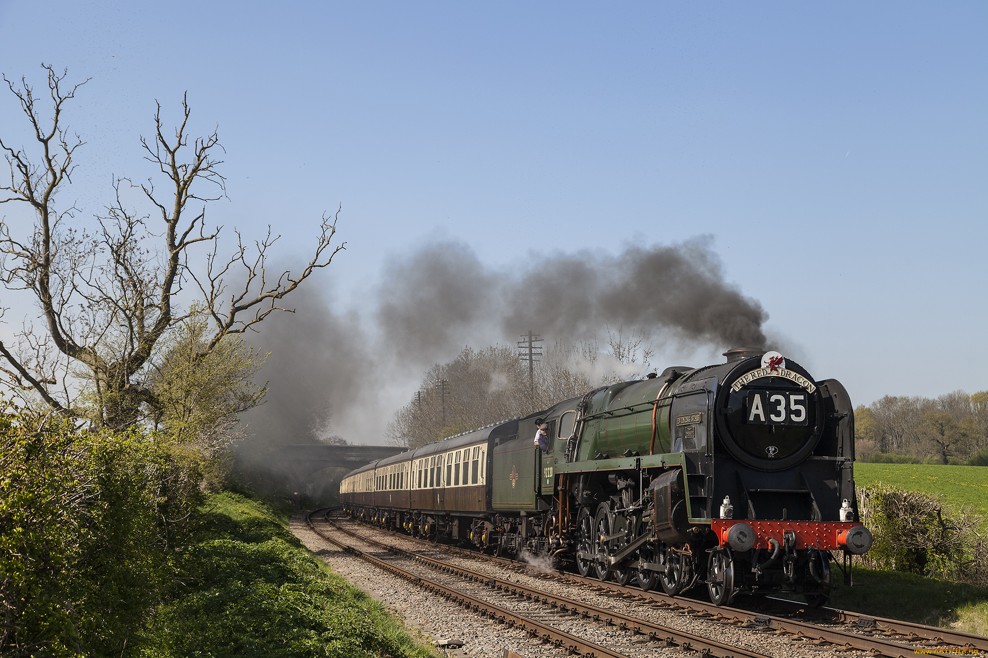 техника, паровозы, состав, локомотив