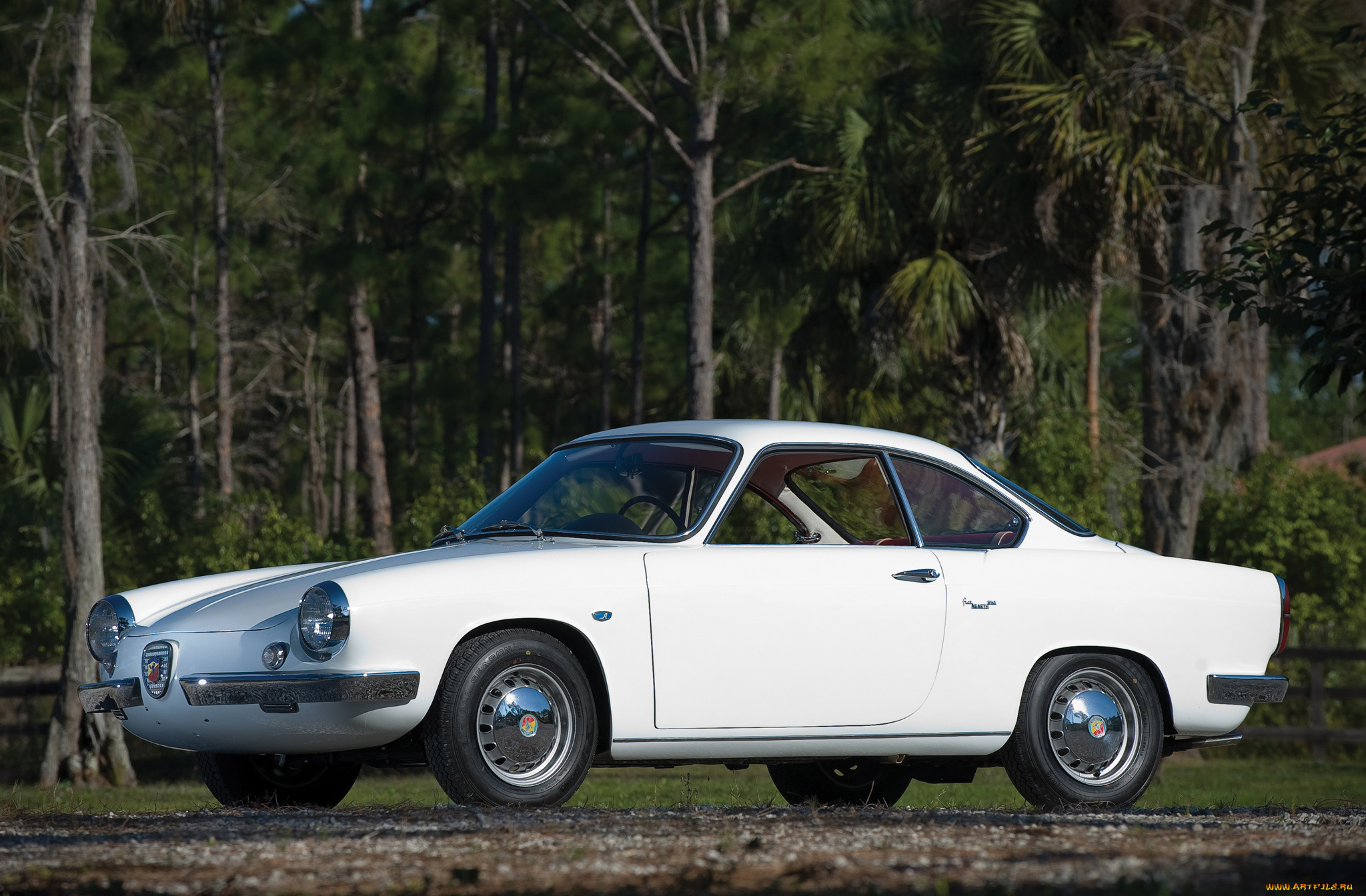 fiat, abarth, 850, coupe, scorpione, 1959, автомобили, fiat, scorpione, 1959, 850, coupe, abarth