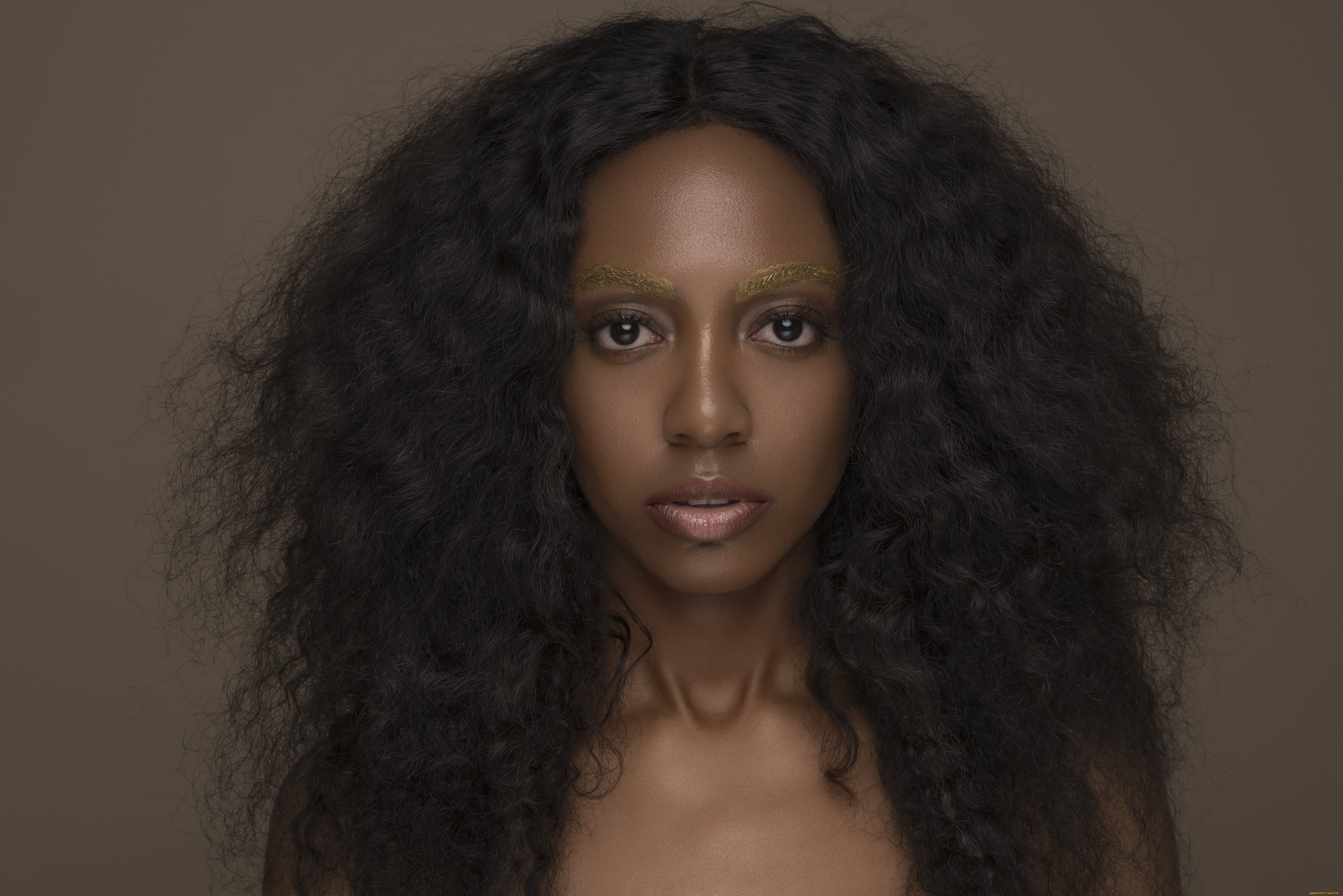 tori, elizabeth, девушки, -unsort, , лица, , портреты, макияж, взгляд, лицо, темнокожая, tori, elizabeth, портрет, девушка, мулатка, причёска, модель, фотомодель