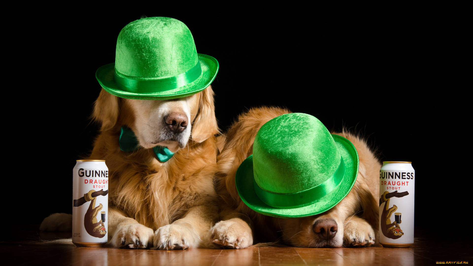 животные, собаки, пёс